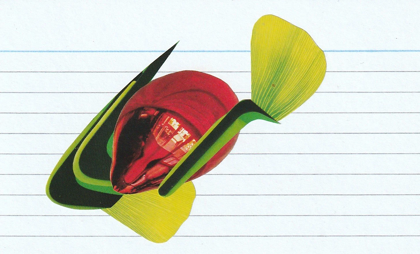 12.5cm x 7.5cm

January 2026.