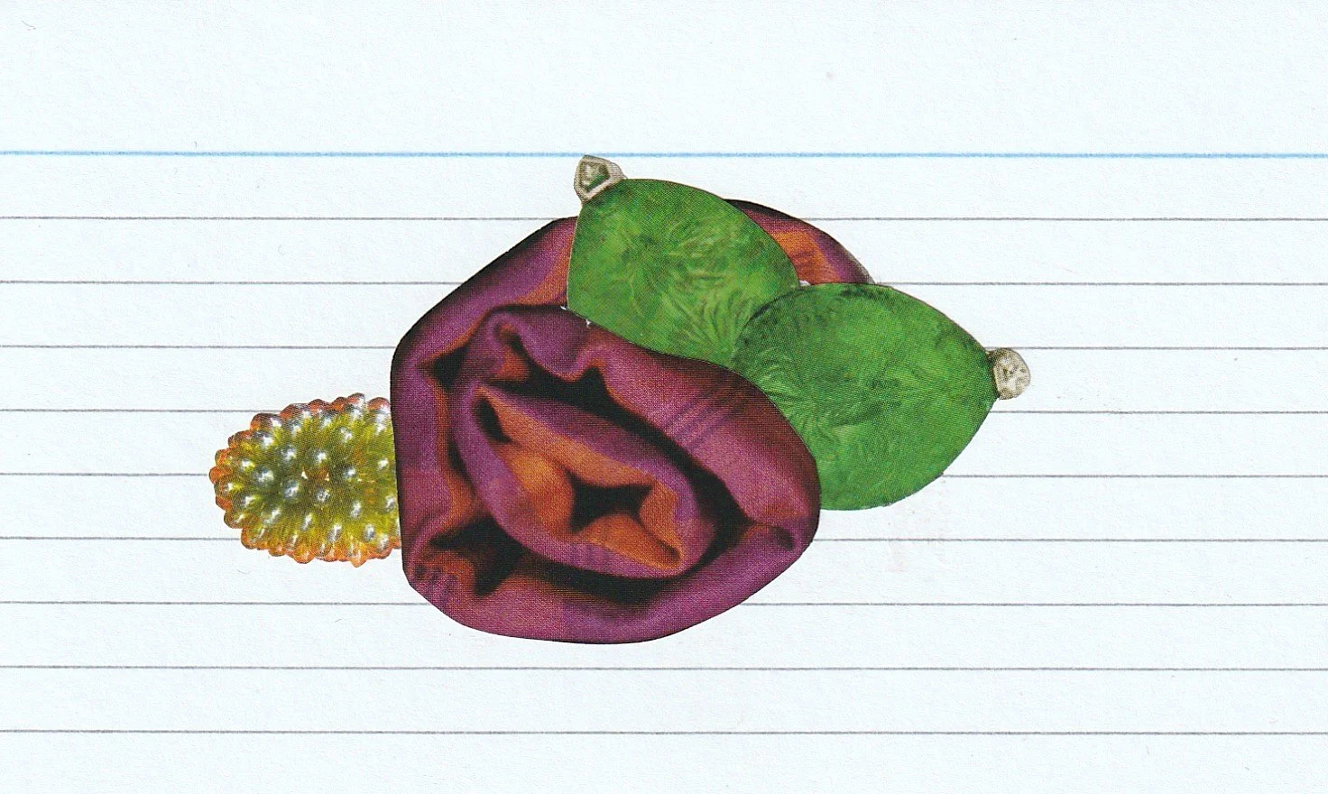 12.5cm x 7.5cm

January 2026.