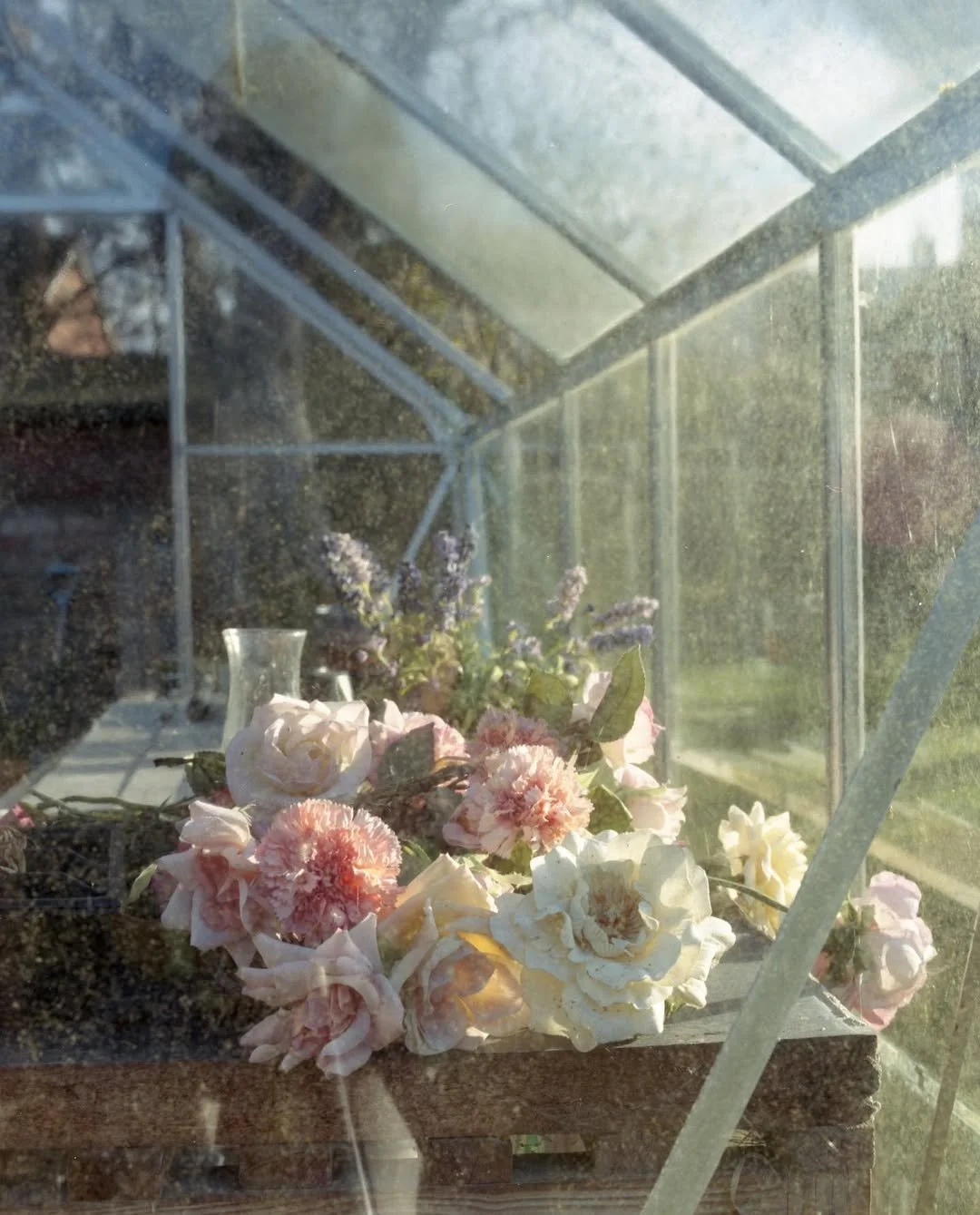 Final major project for BA (Hons) Photography. Inspired by current world events, ‘Evergreen’ is -4.jpg
