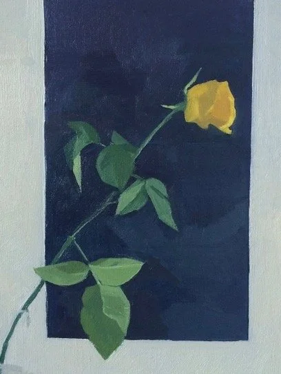 Yellow Rose