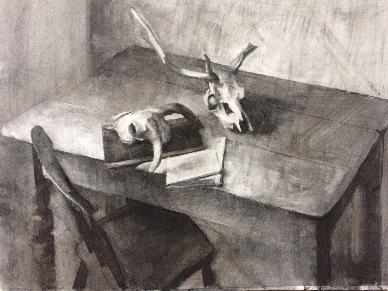 Animal Skulls on a Table