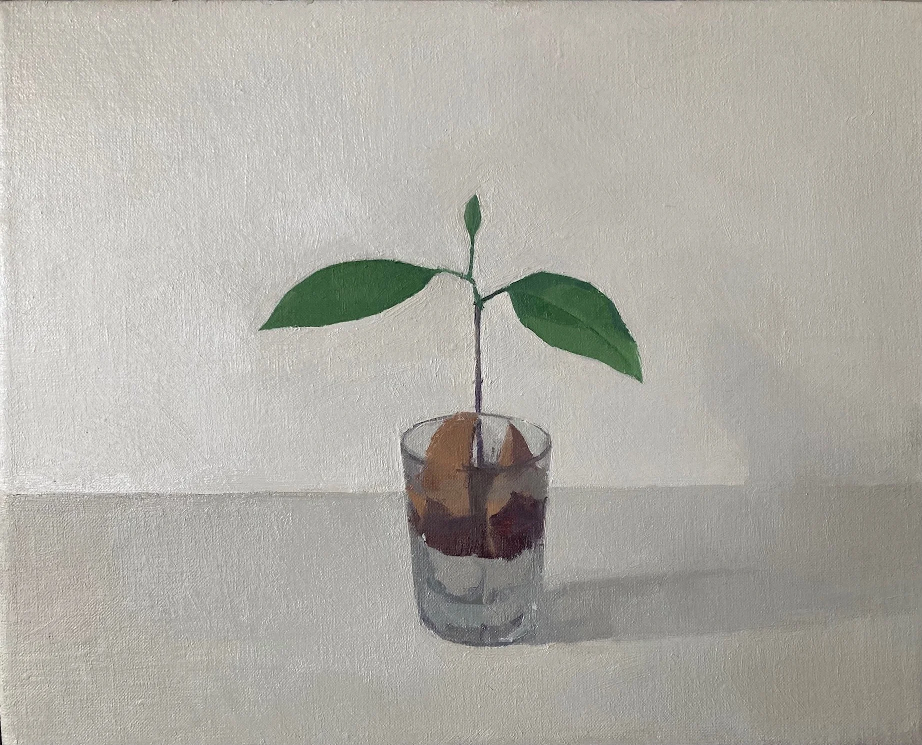 New Year Avocado