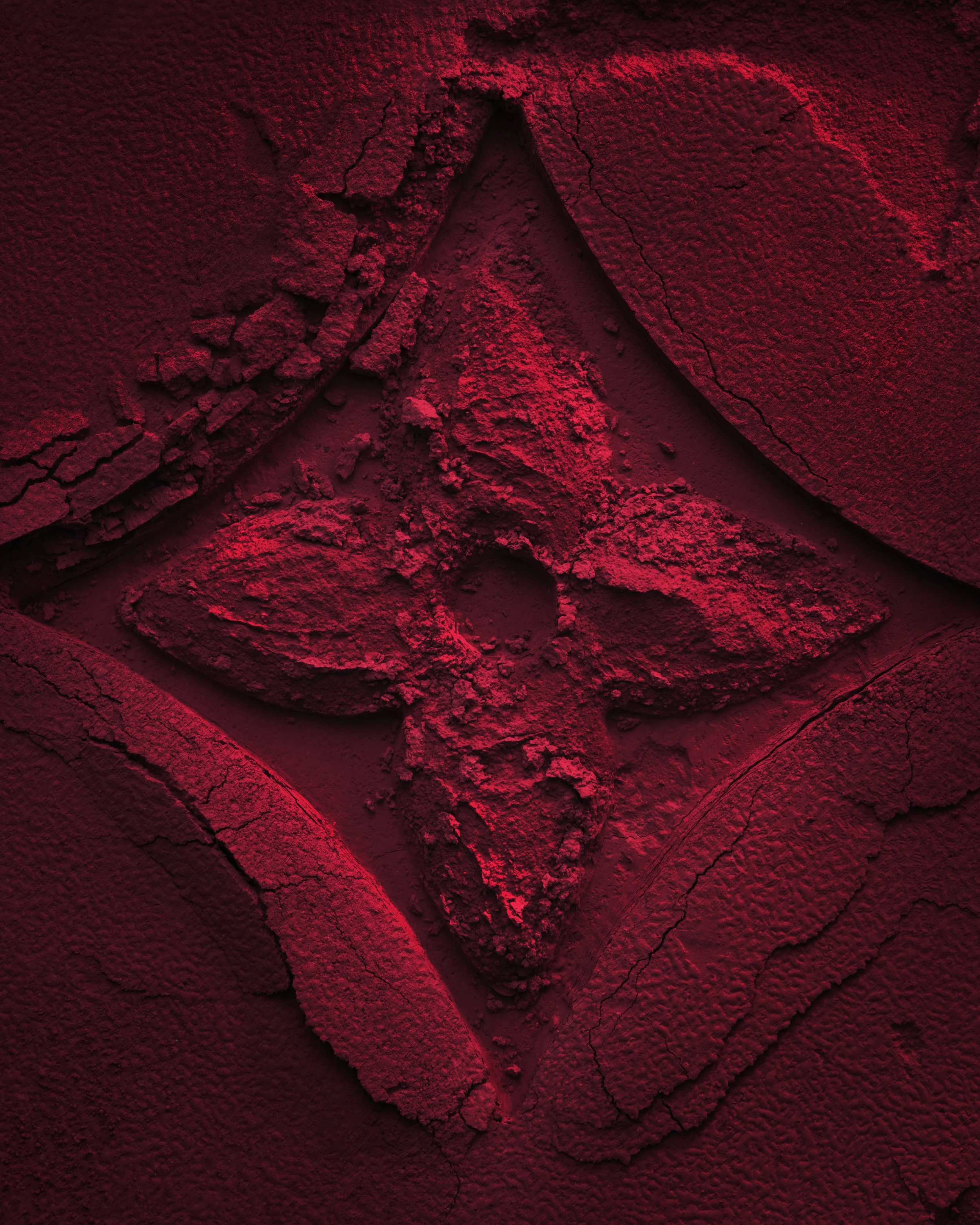 SHOOT FRASER C&C LEO CROPPING9.jpg