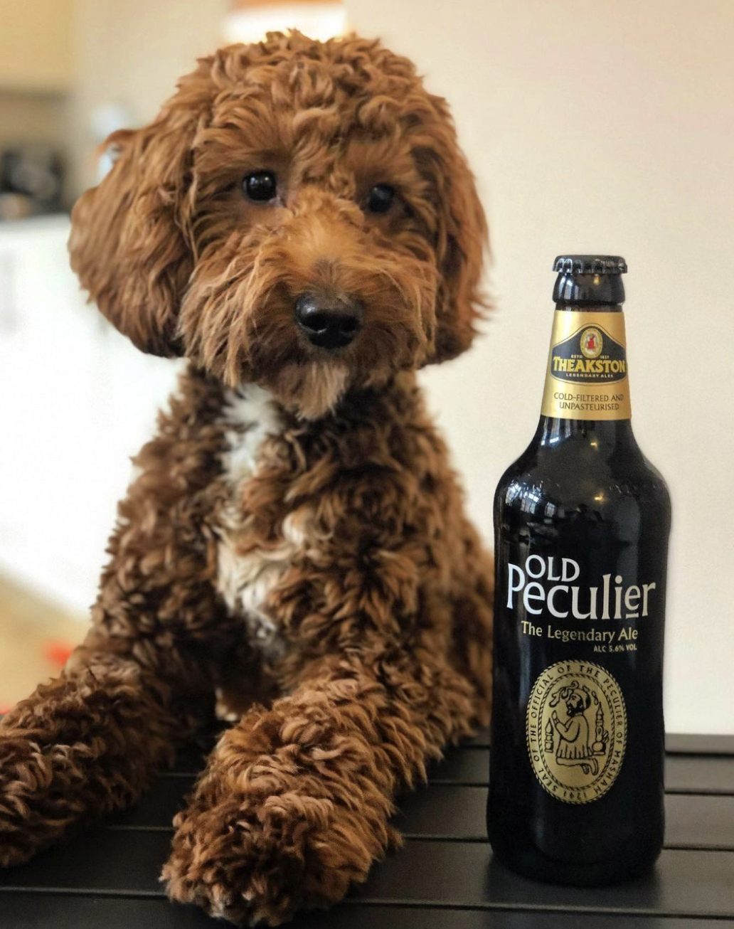 113 - Theakston Brewery | Old Peculiar episode artwork