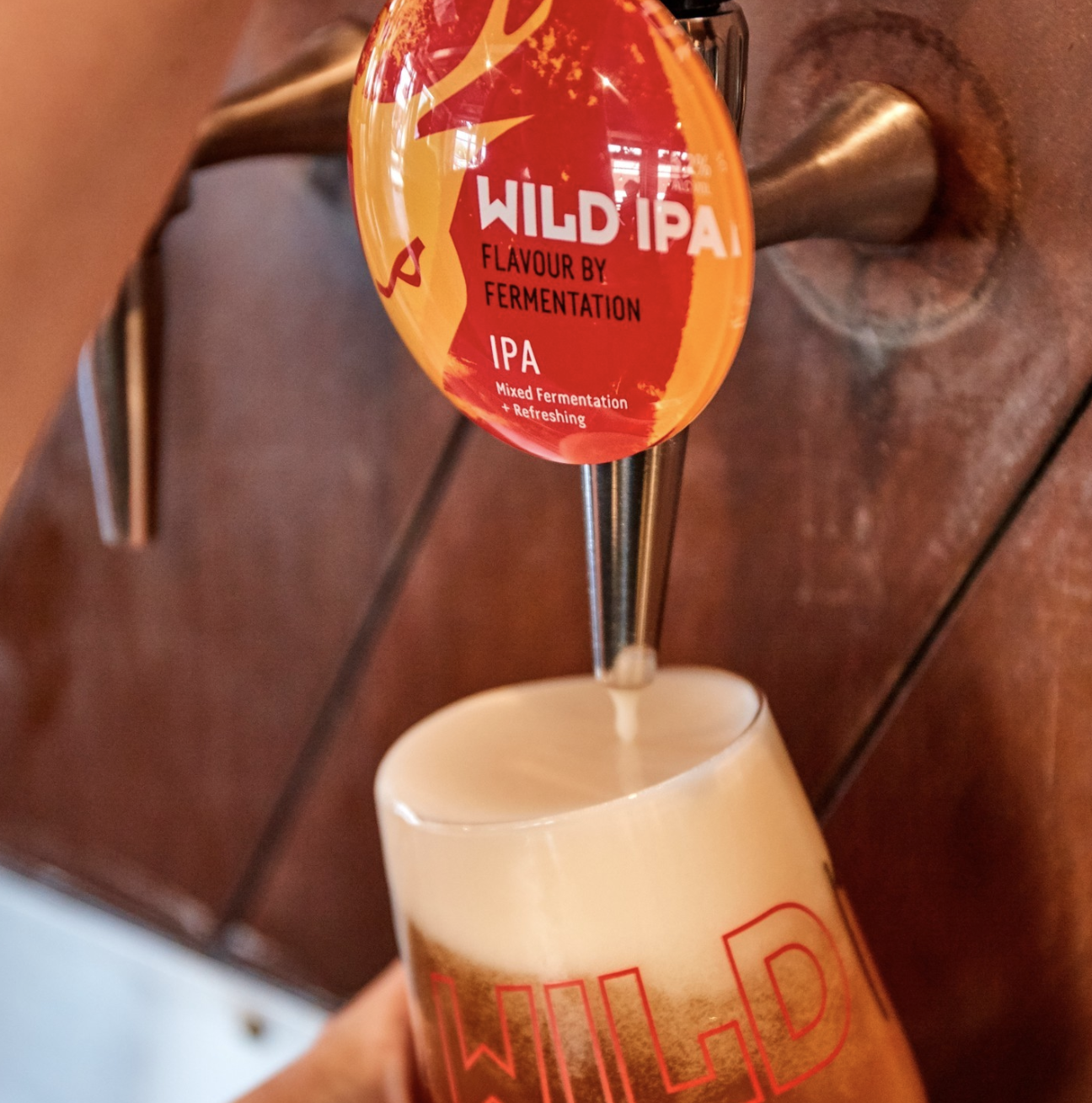 146 - Wild Beer Co | Wild IPA and a Special Review of Hopical Storm by Timothy Taylor's episode artwork