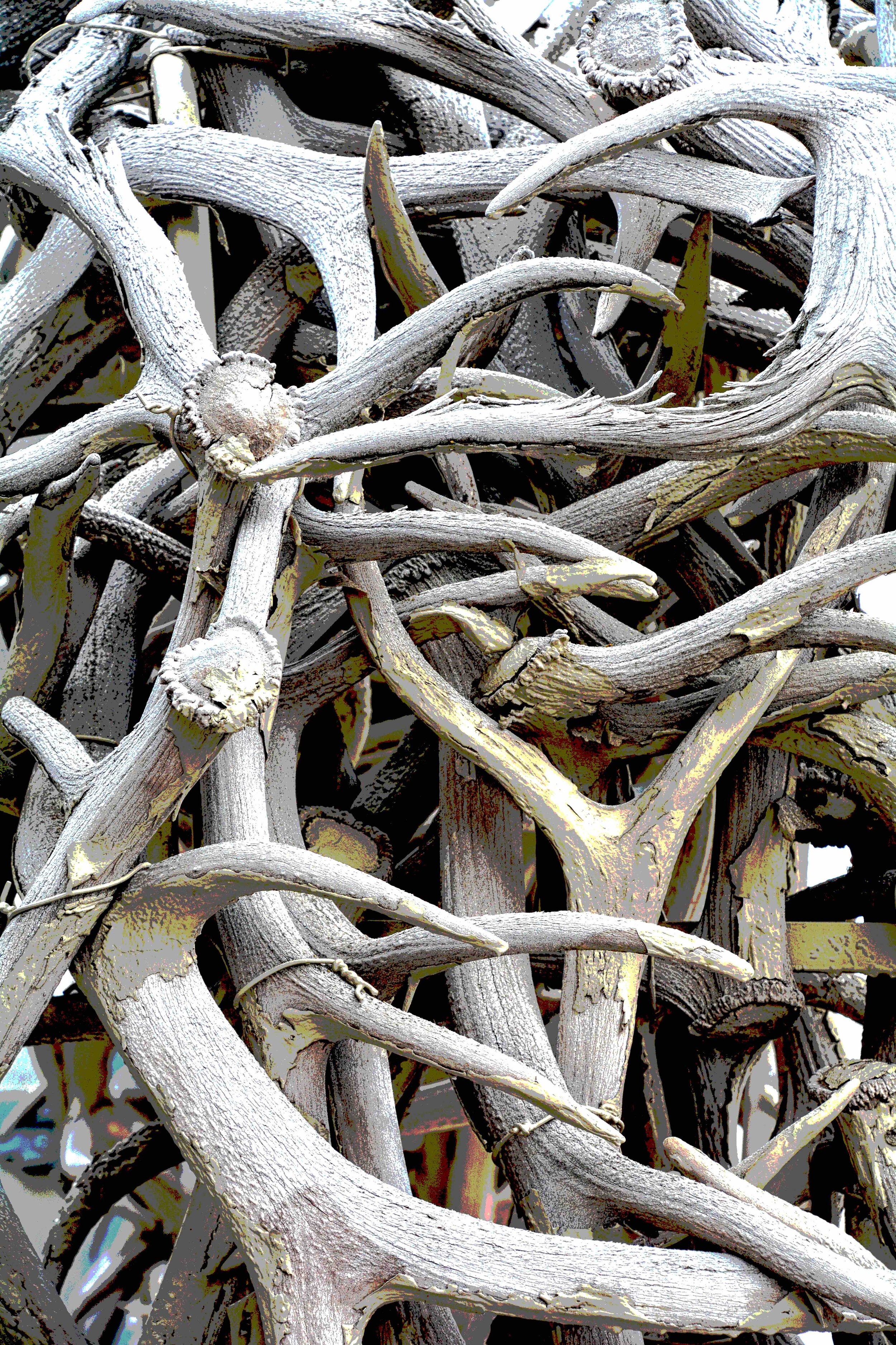 Antler Arch  Abstract Detail 2.8.jpg