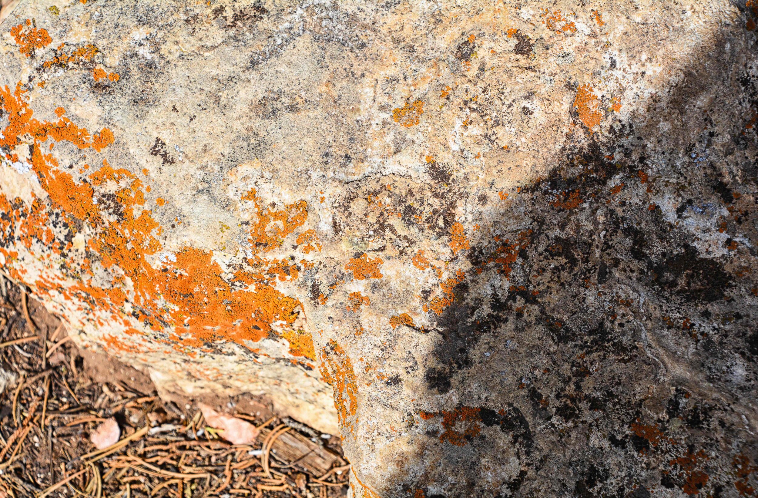 Orange Rock flat 2mb.jpg