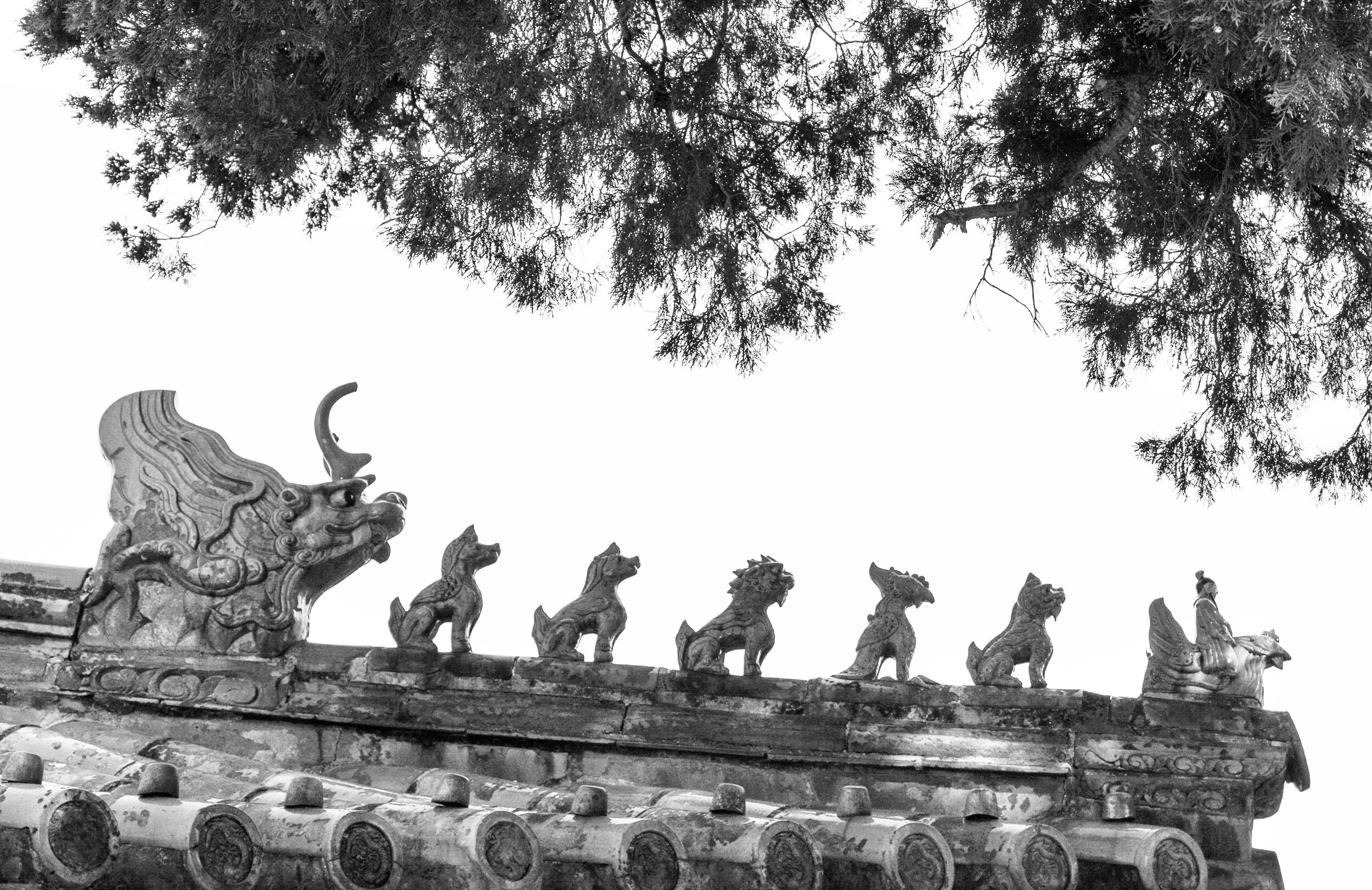 Dragon Rooftop BW Crop .jpg