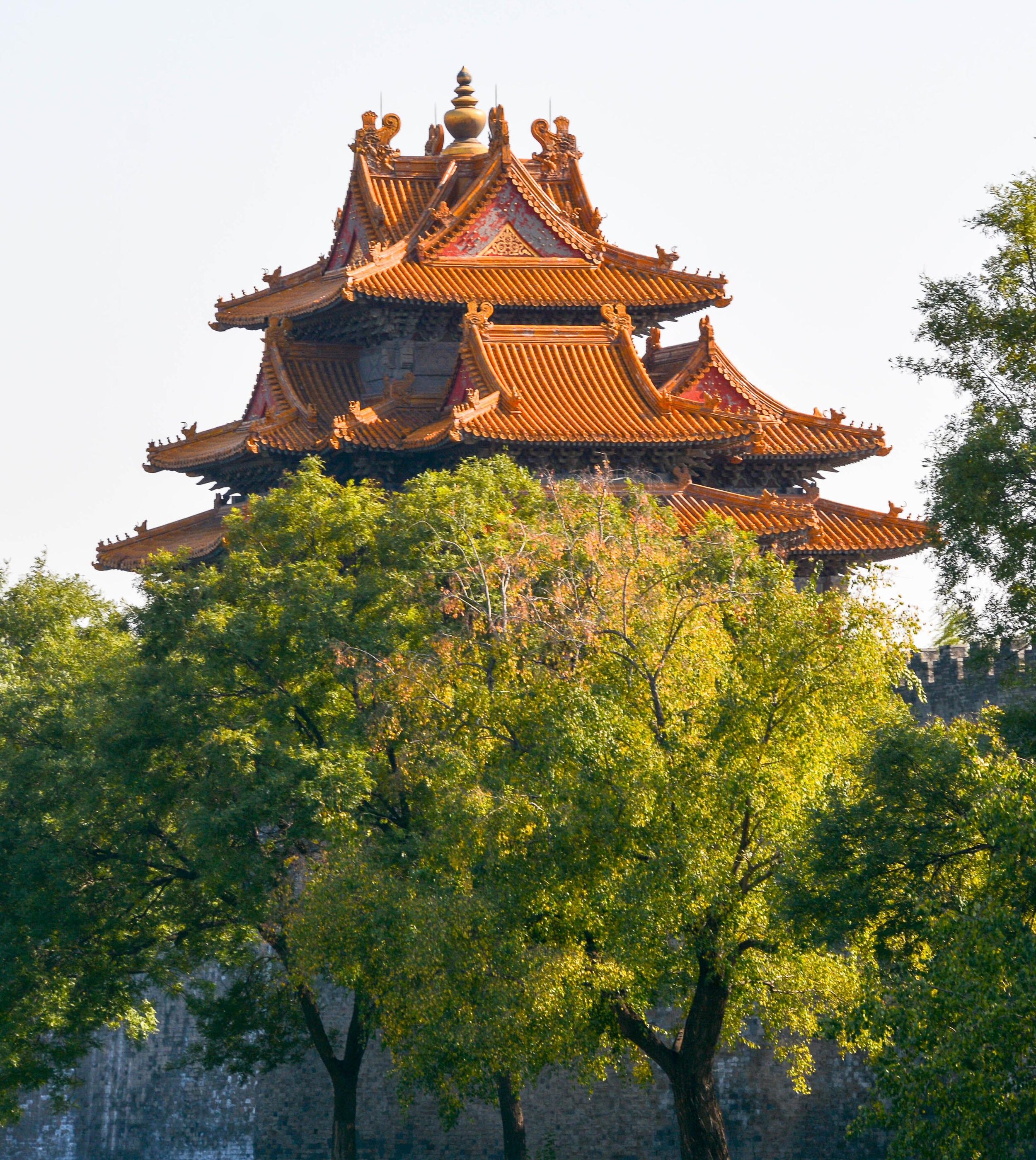 Pagoda in the Tree .jpg