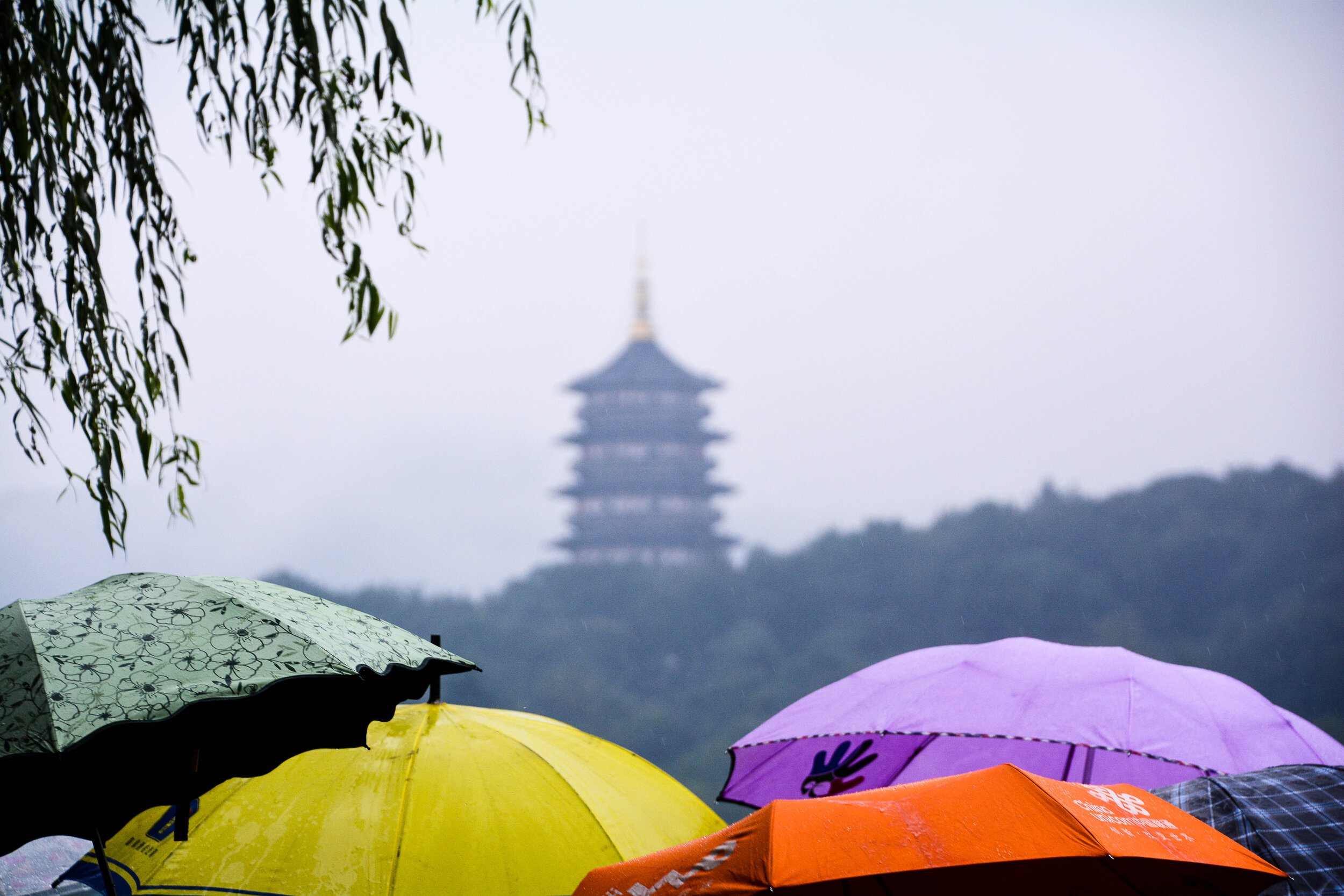 Umbrellas in the Rain.jpg