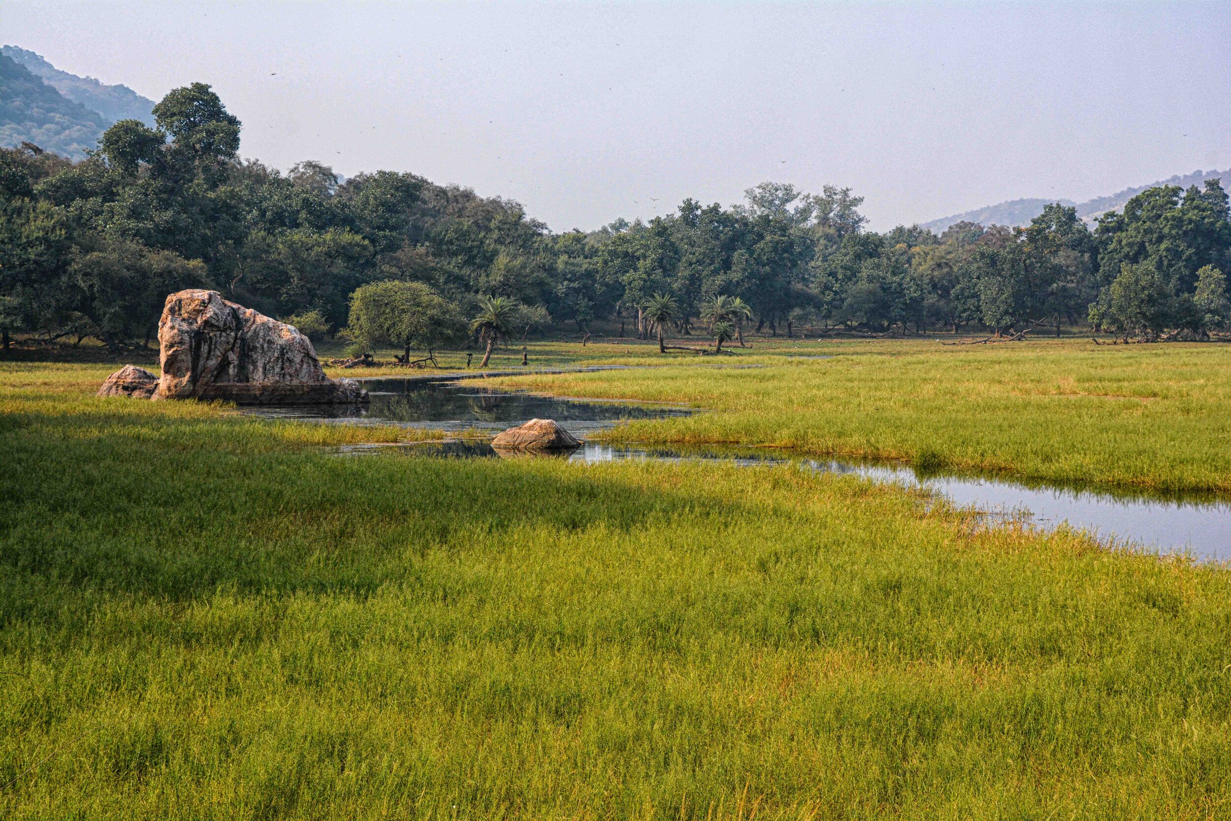 Game Reserve Landscape flat 3.jpg