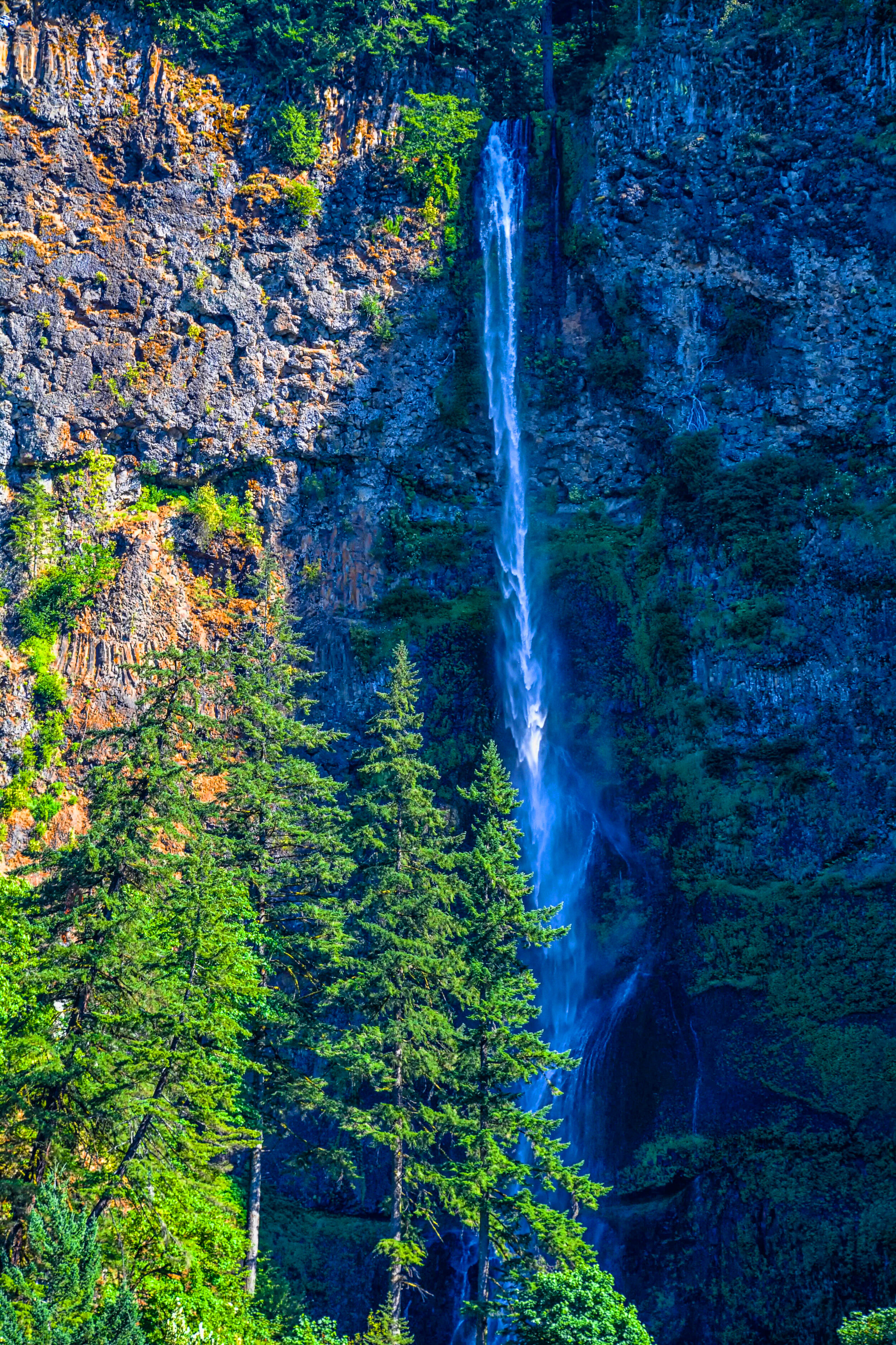 M Falls Oregon.jpg