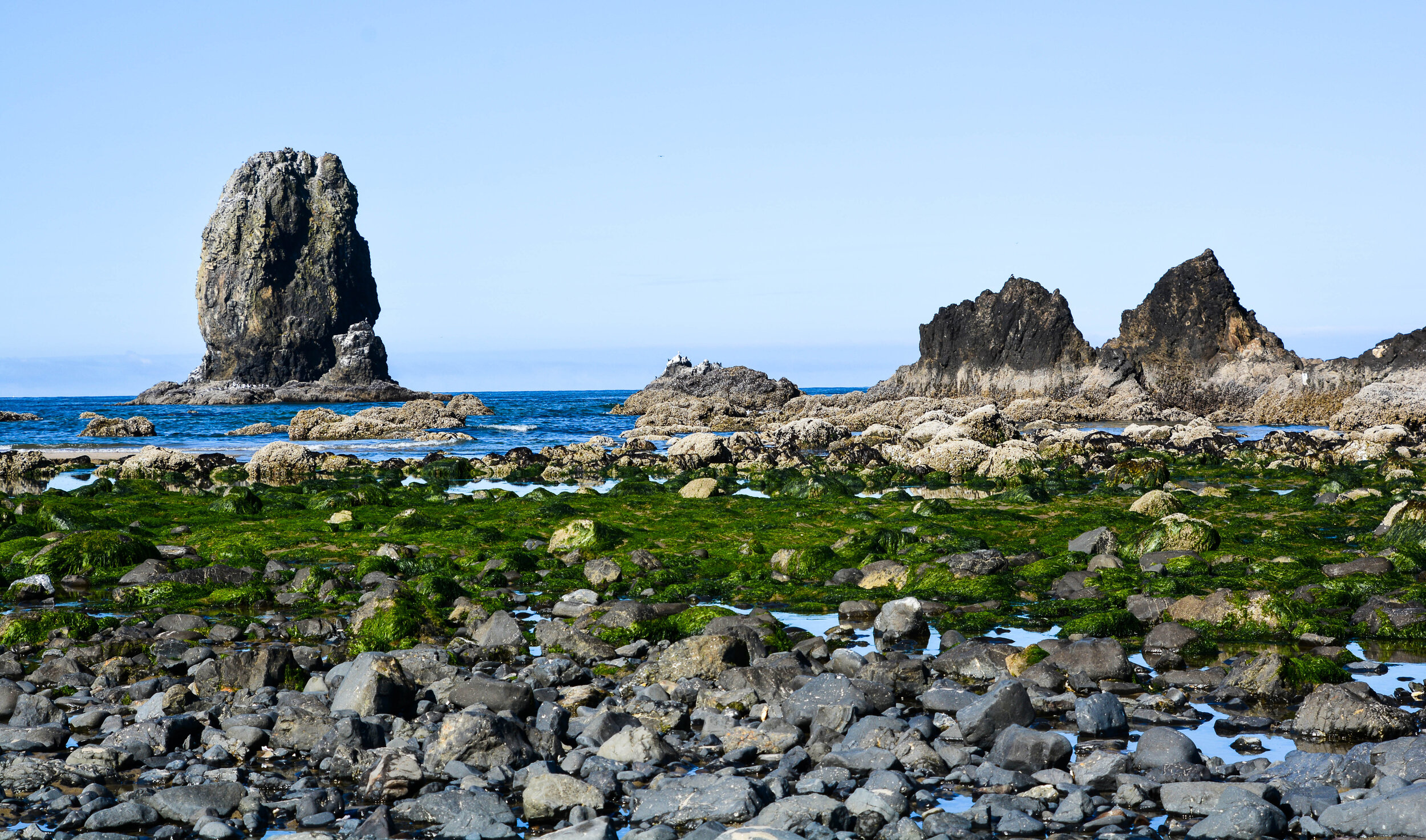 Beach Rocks Oregon Crop-2.jpg