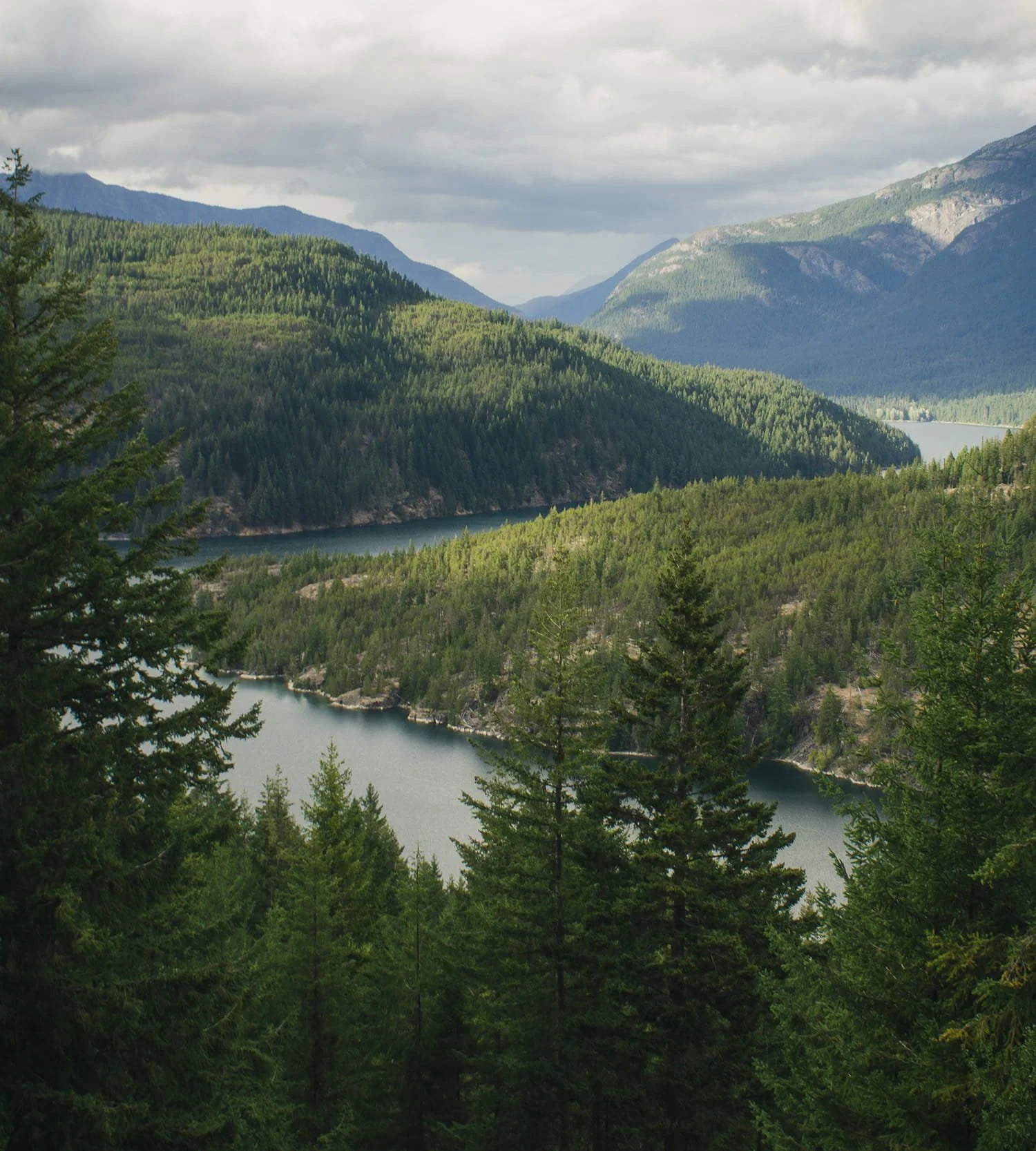 A scenic view of a river flowing through a lush green forest with mountain ranges in the background under a cloudy sky.