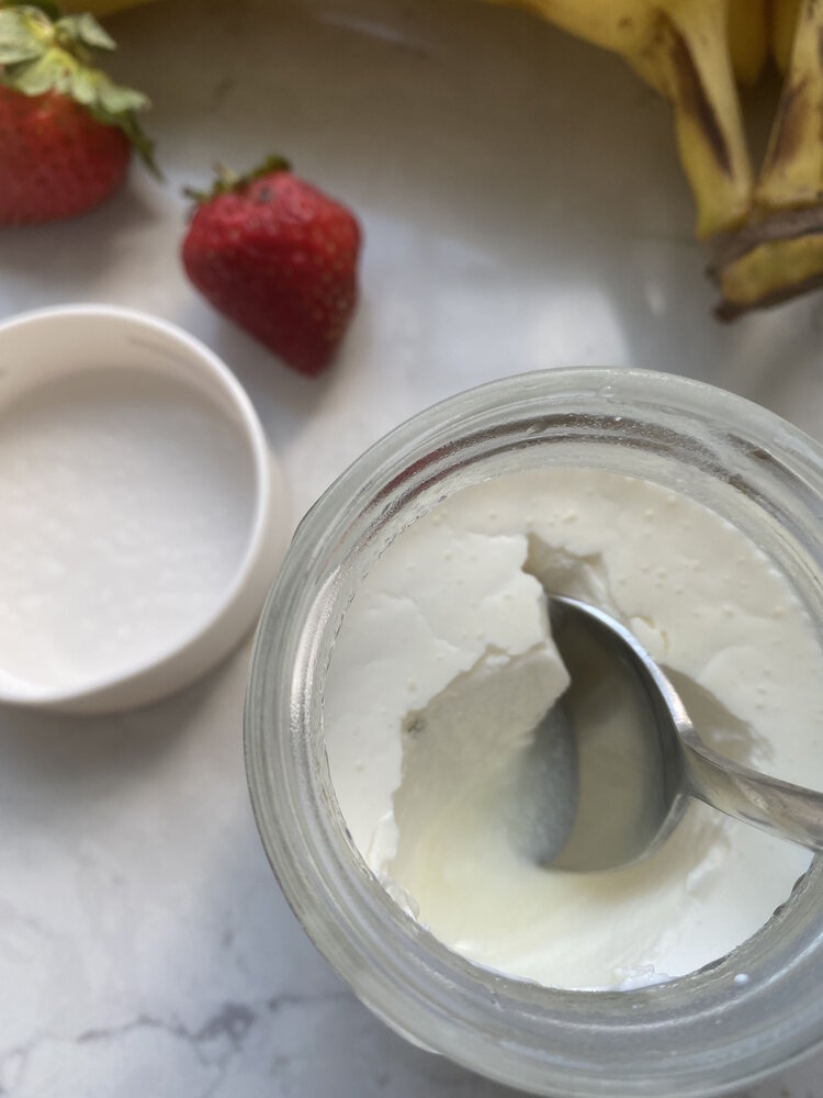 Yogurt Making - Tasty & Good For Your Gut - Gone With The Wynns
