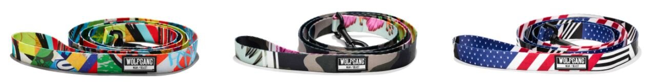 Wolfgang and Beast Leashes.JPG