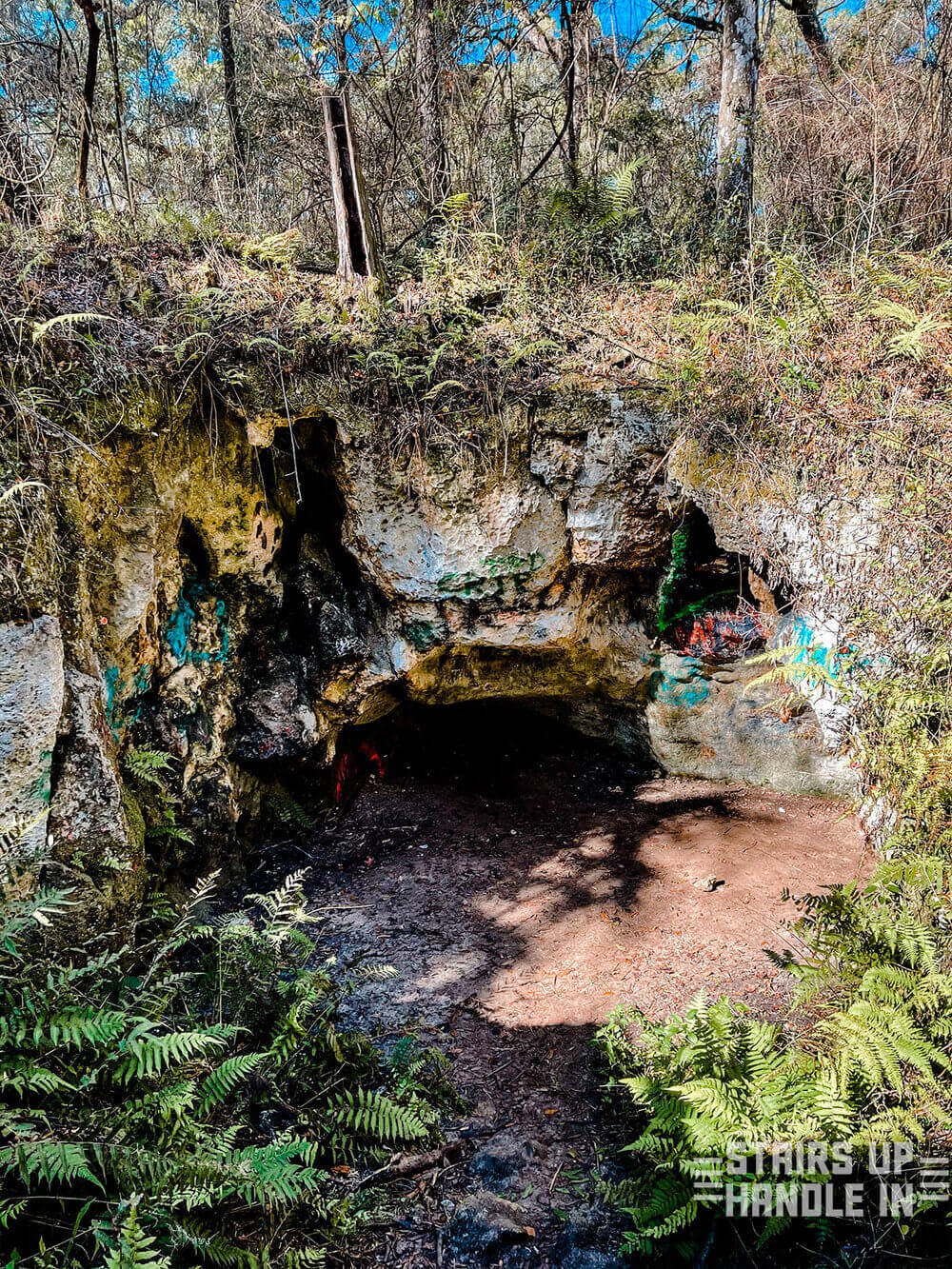 Let's Explore This Hidden Gem Called Dames Caves In FL — Stairs Up