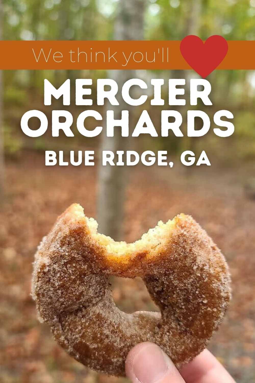 Mercier Orchards: Fun Things to Do in North Georgia
