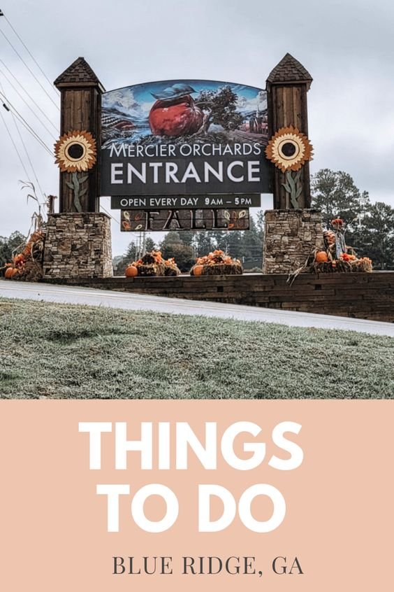Fun things to do in North Georgia - Mercier Orchards