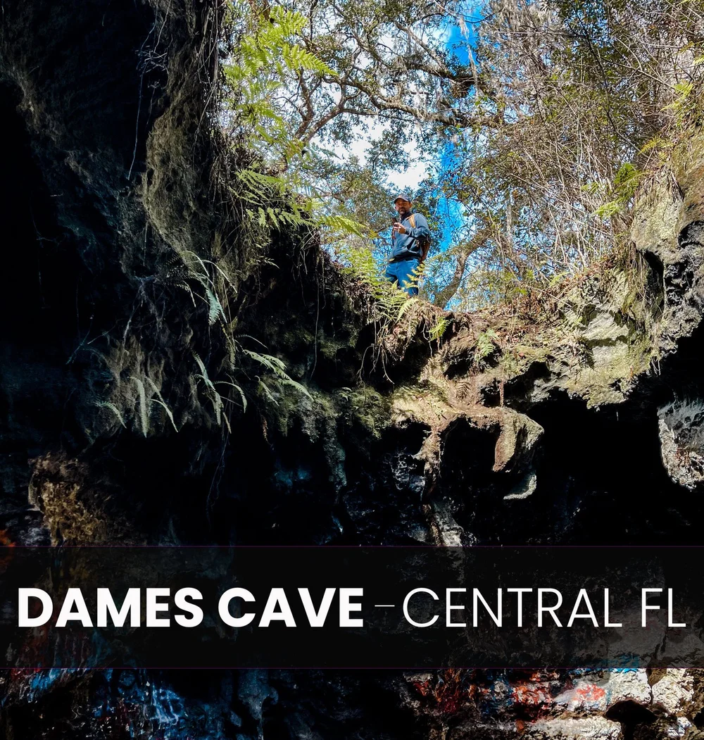 Let's Explore This Hidden Gem Called Dames Caves In FL — Stairs Up