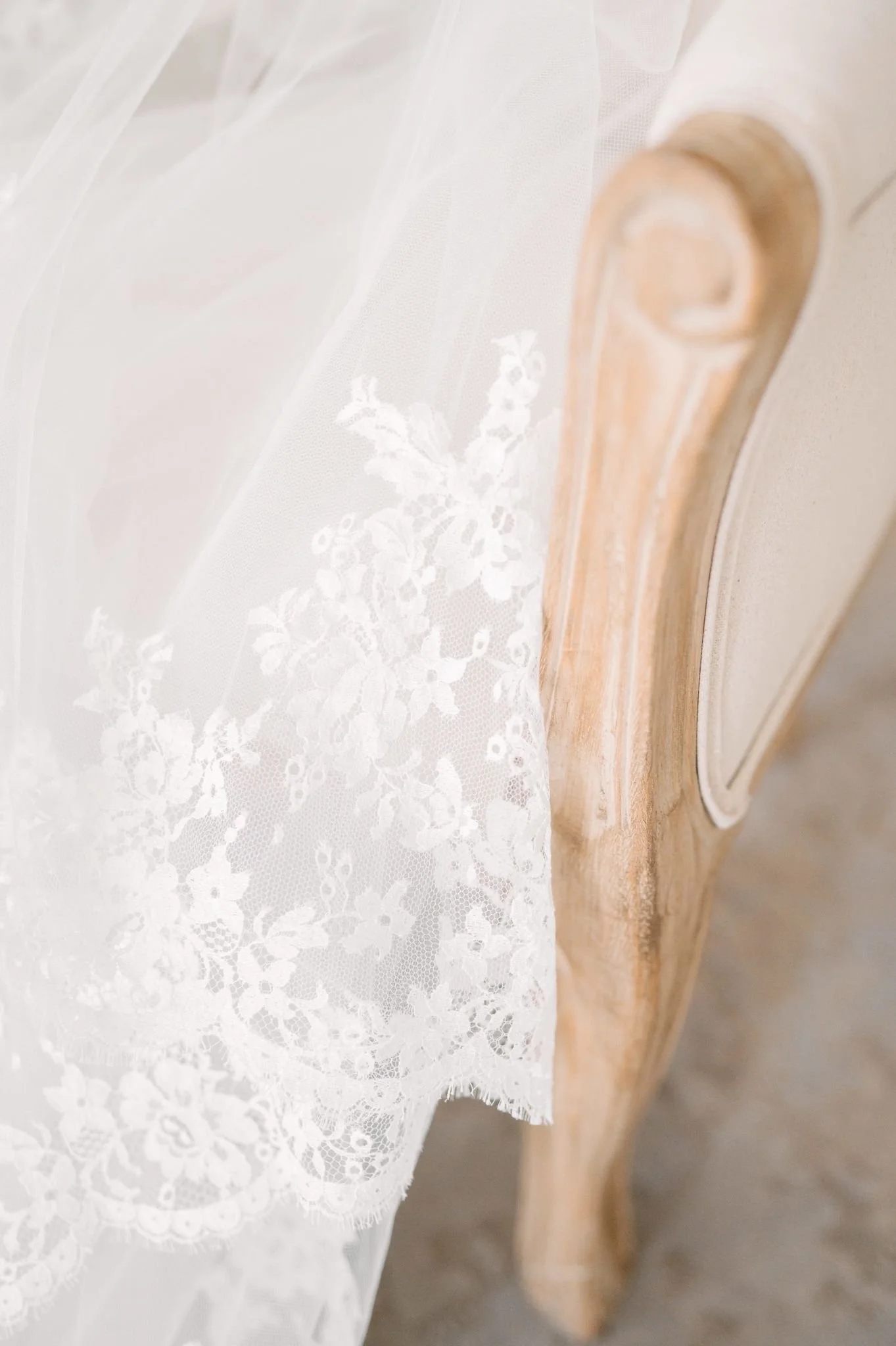 WhatsApp Image 2026-04-01 at 01.04.05 (2).jpeg