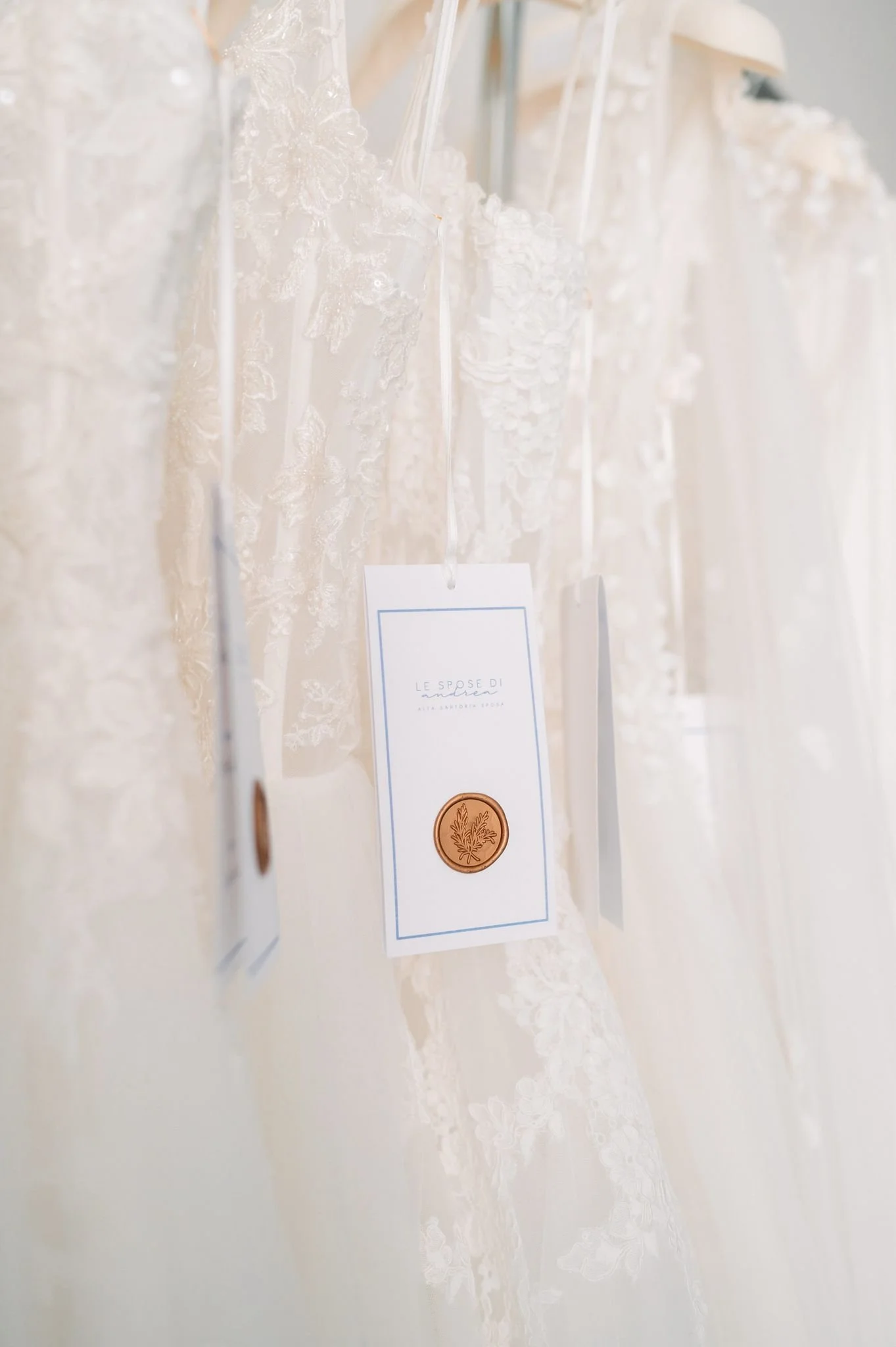 WhatsApp Image 2026-04-01 at 01.04.04 (1).jpeg