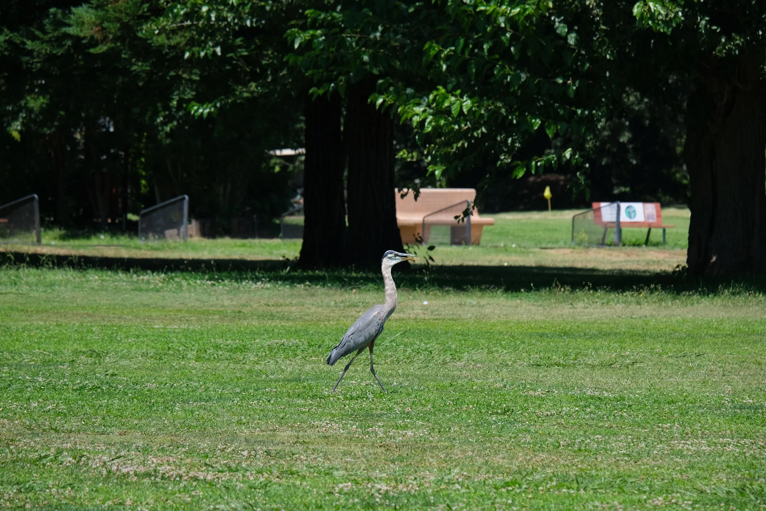 DSCF6113.jpg