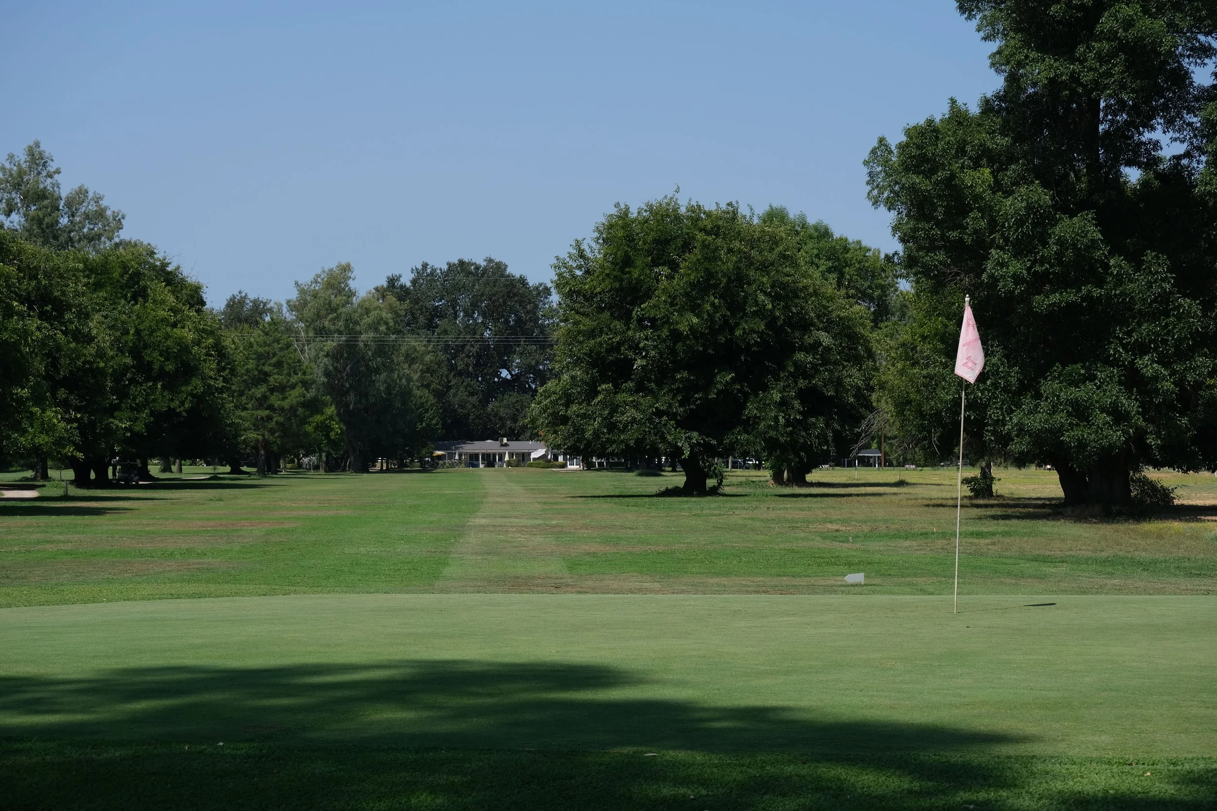 DSCF6238.jpg