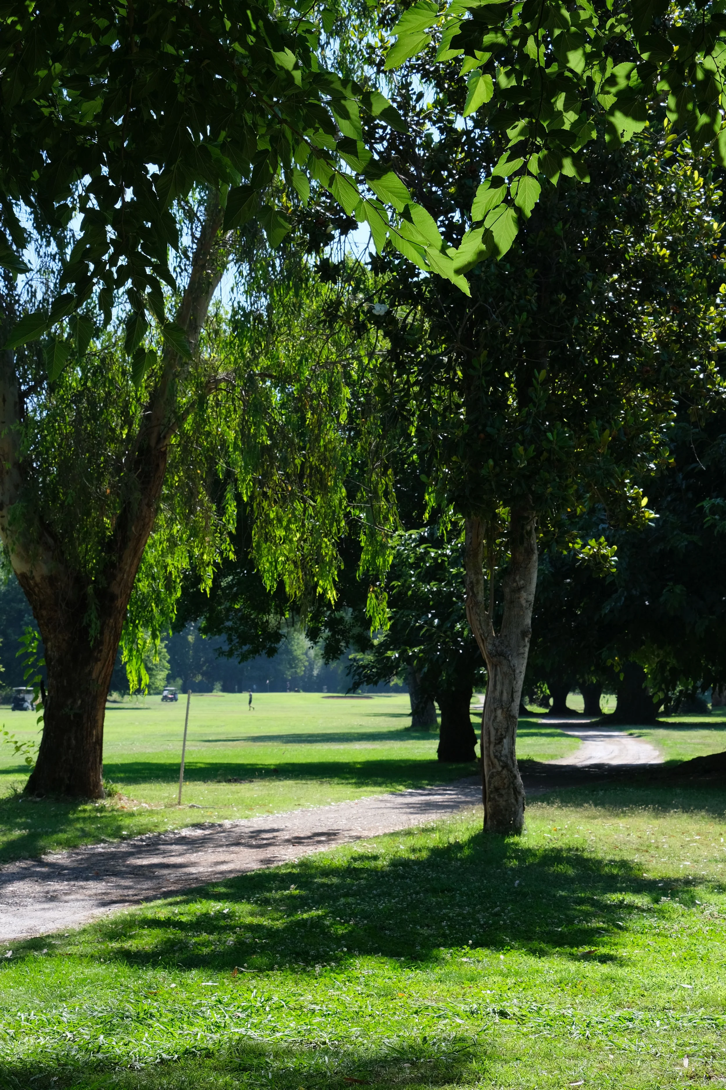 DSCF6043.jpg