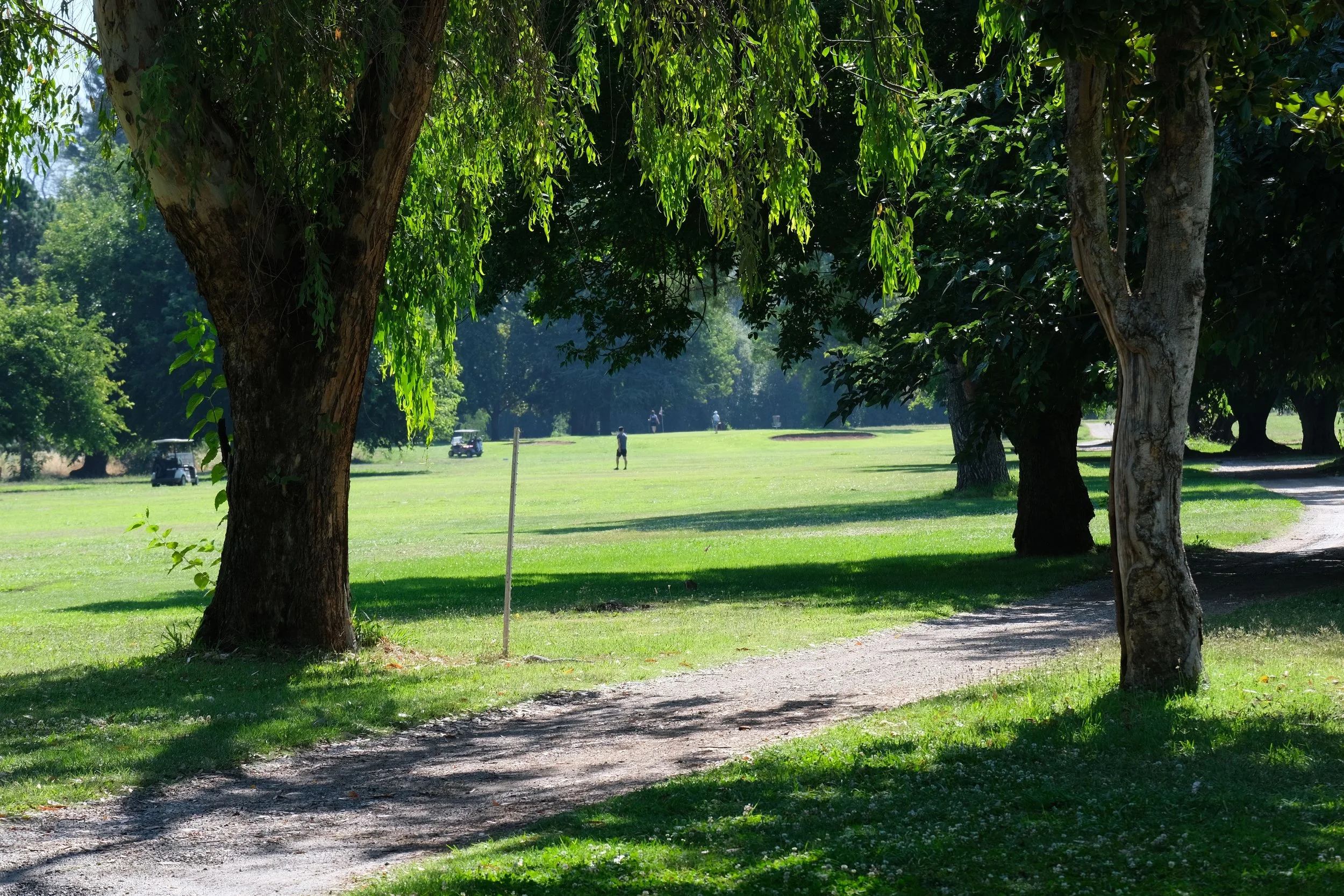 DSCF6042.jpg