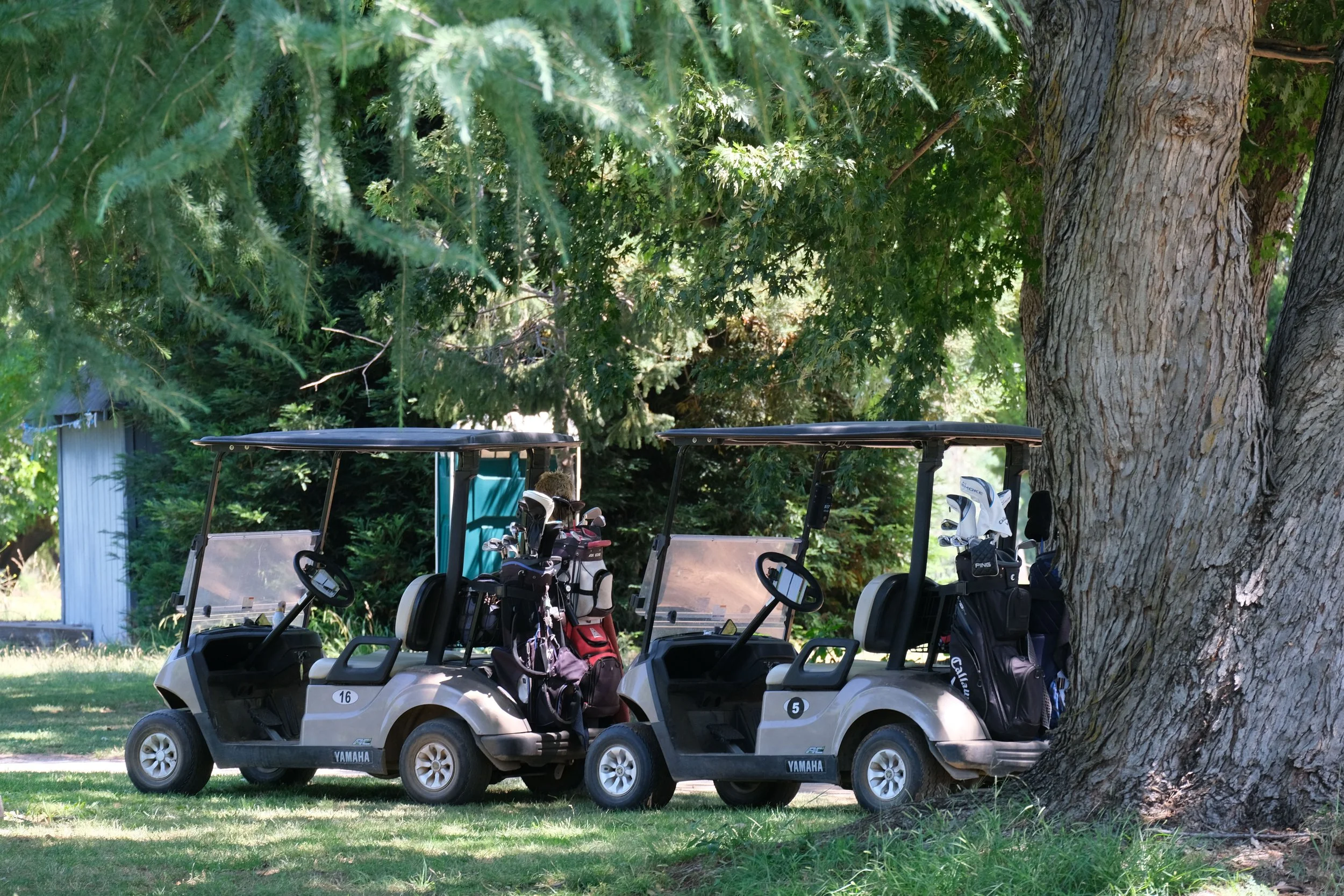 DSCF6080.jpg