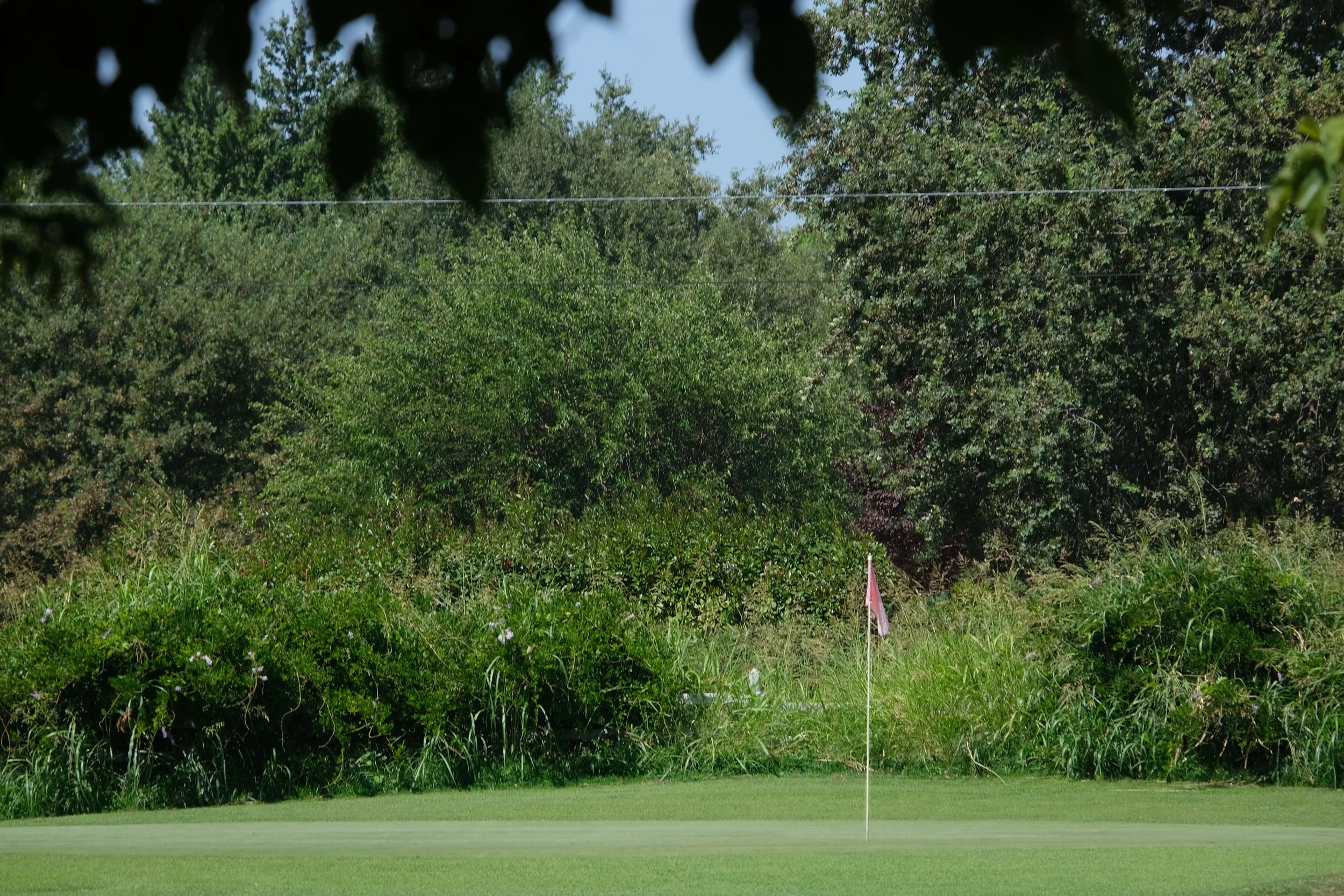 DSCF6264.jpg