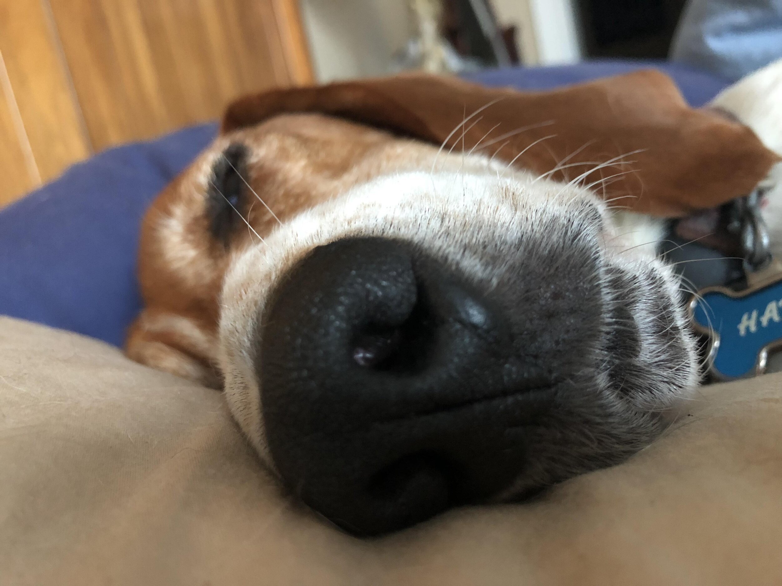 When we sleep, our muscles can rest