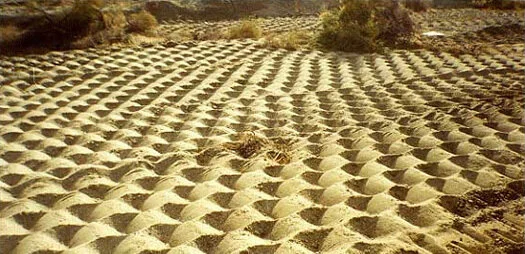 An ideal Imprinting project in Tucson, AZ. Imprinting is performed with a Dixon Land Imprinter. It is an implement created to improve stormwater infiltration into slope and non-slope soils. Increases of infiltration can reach 100 x improvement over …