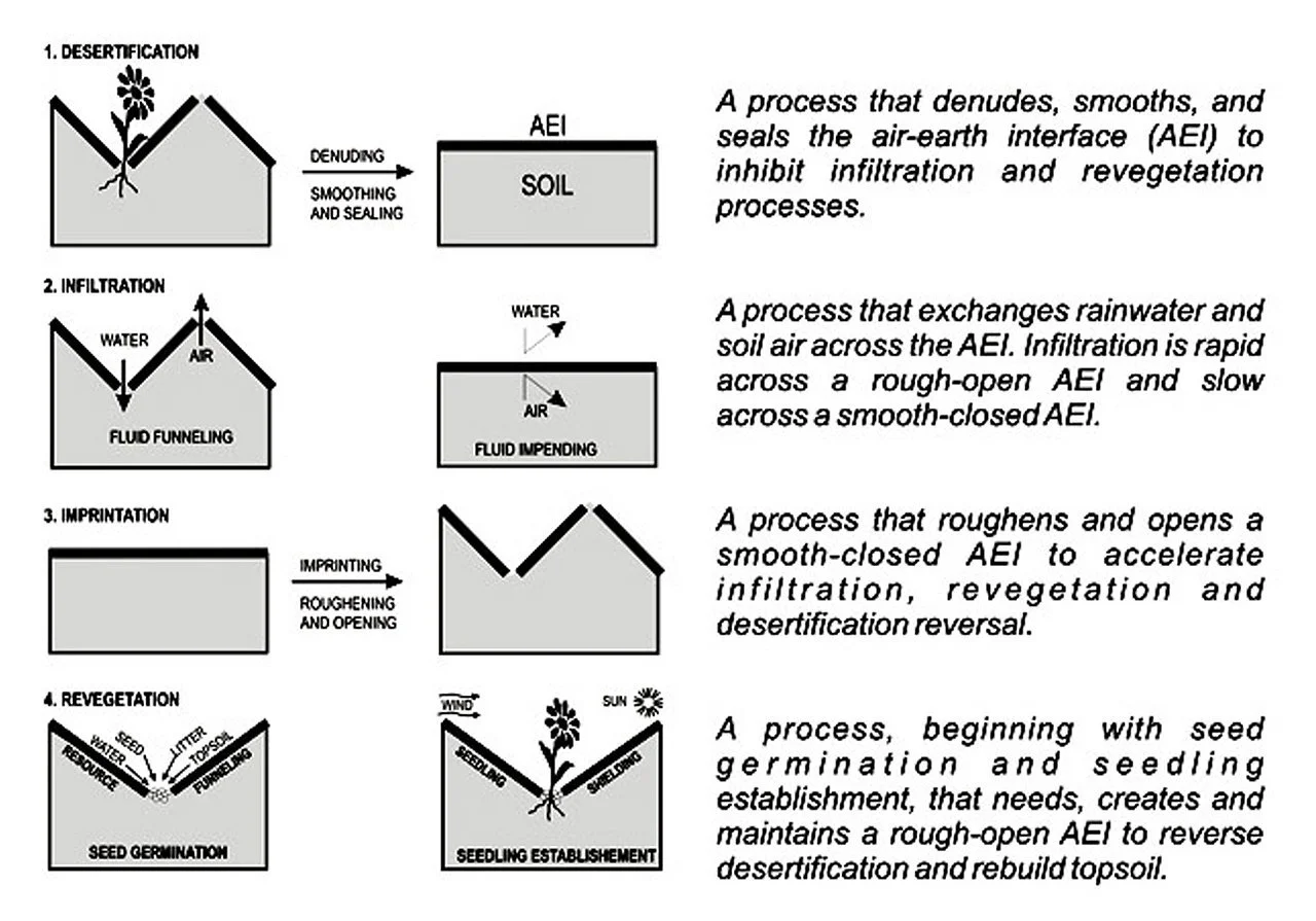 AEI illustration& text.jpg