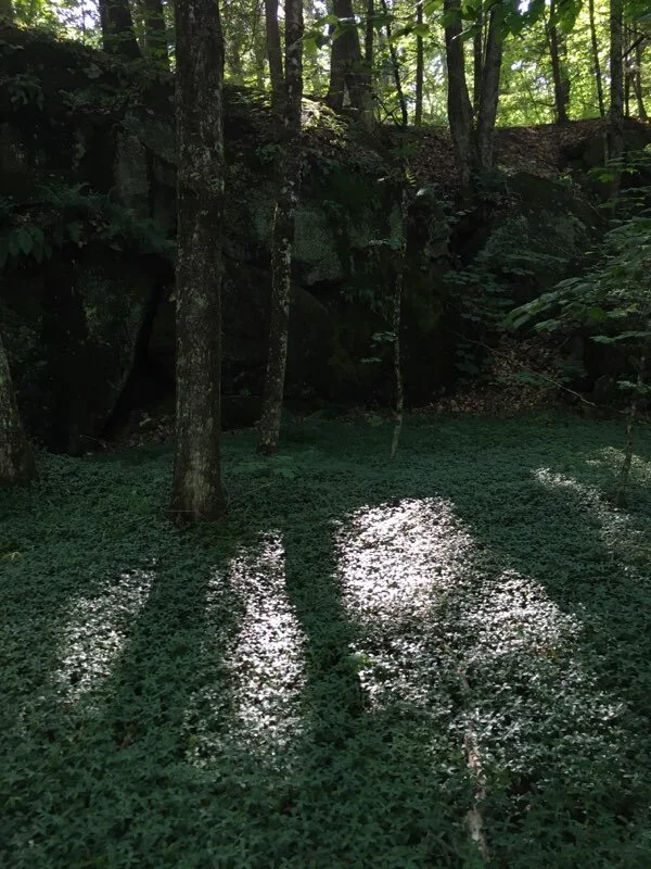 Approachong dusk.jpeg