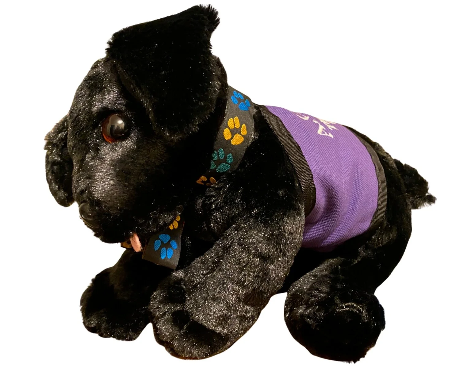 Bring Home an ACTS Service Dog, Therapy Dog, or Puppy in Training