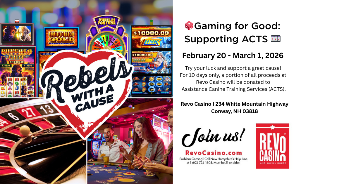 🎲 Gaming for Good: Supporting ACTS 🎰 