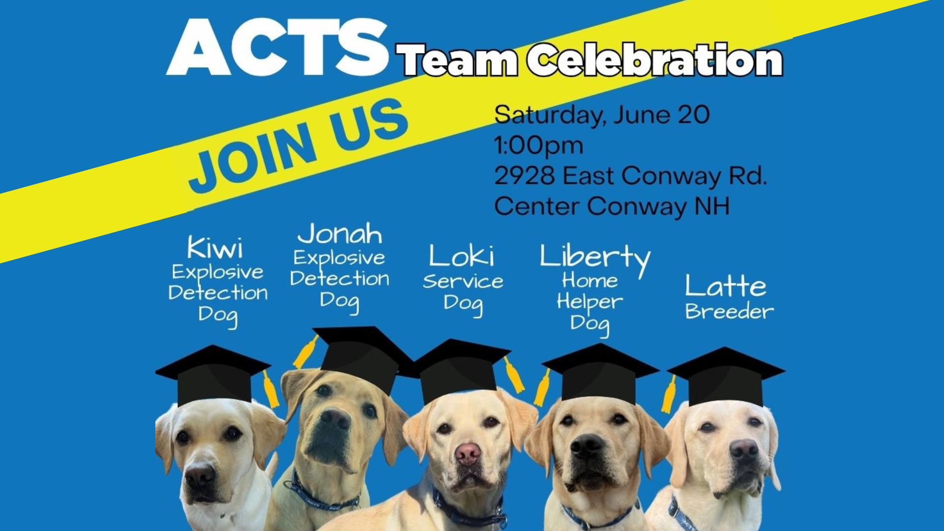 Team Celebration for Kiwi, Jonah, Loki, Liberty and Latte