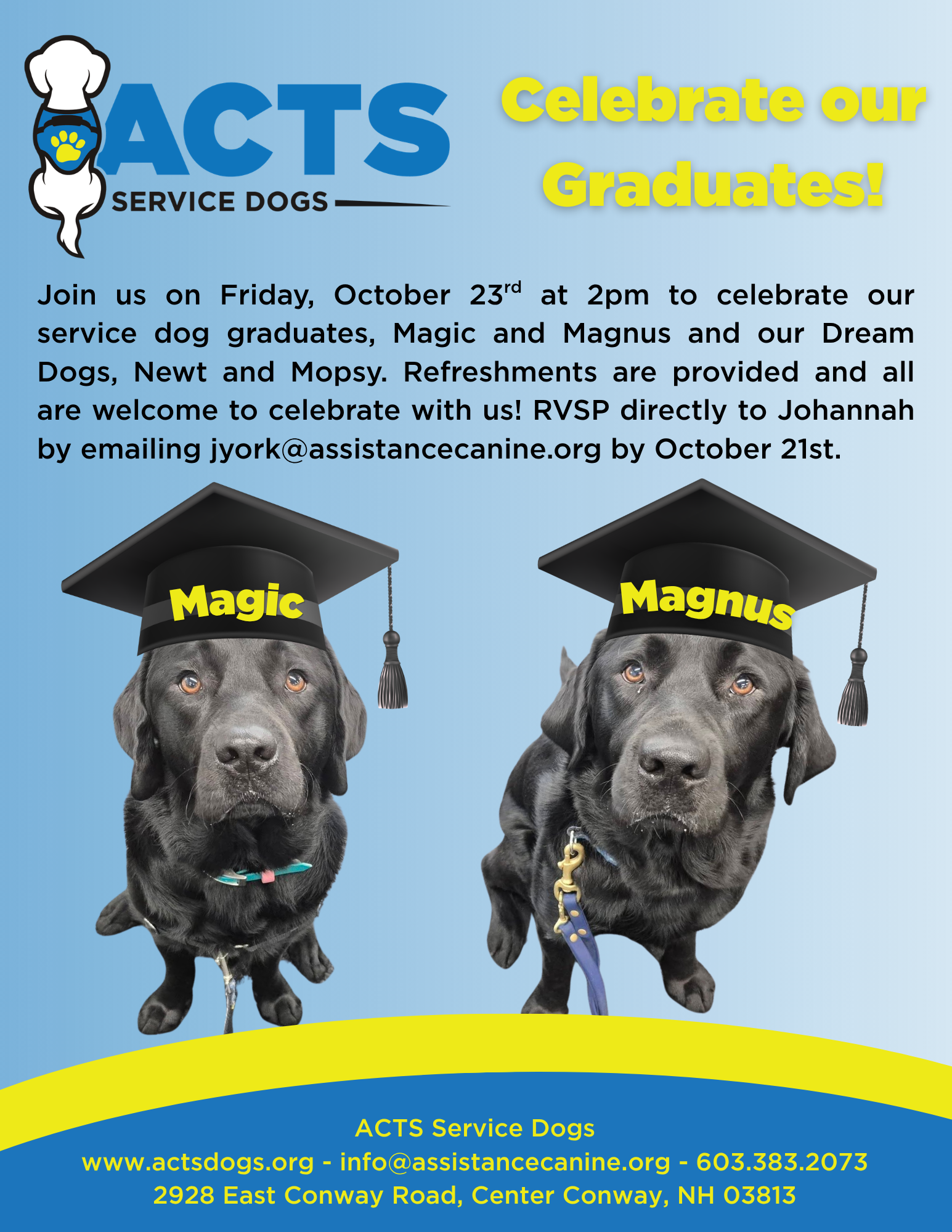Team Celebration for Magic and Magnus