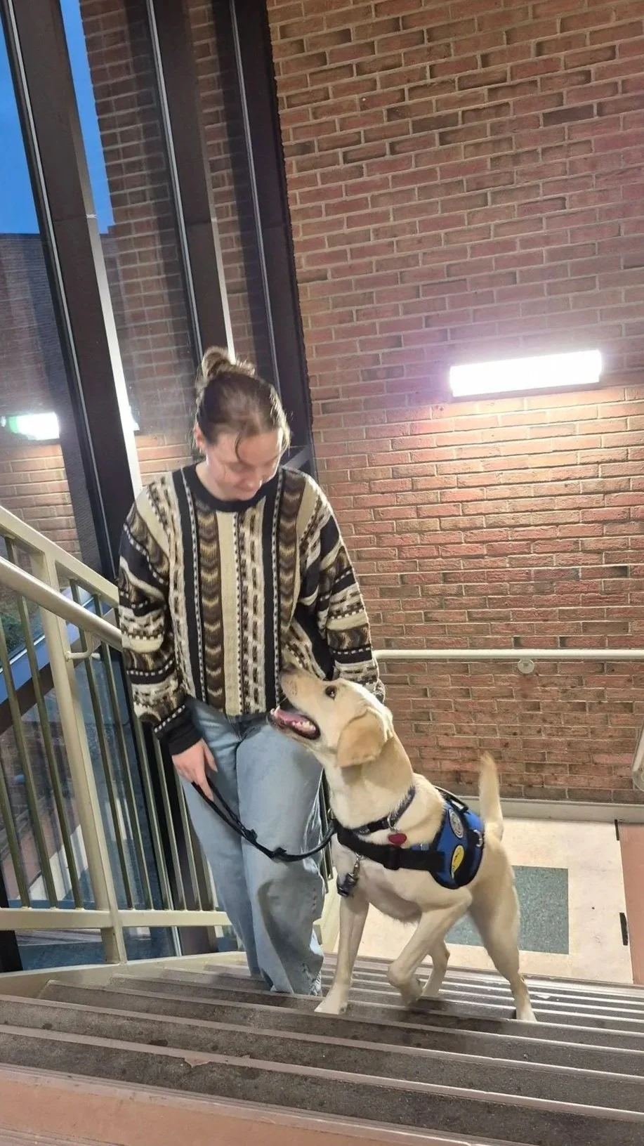 A young woman walking down stairs with a service dog. The service dog is looking up at her, wearing a harness with patches, and appears happy.