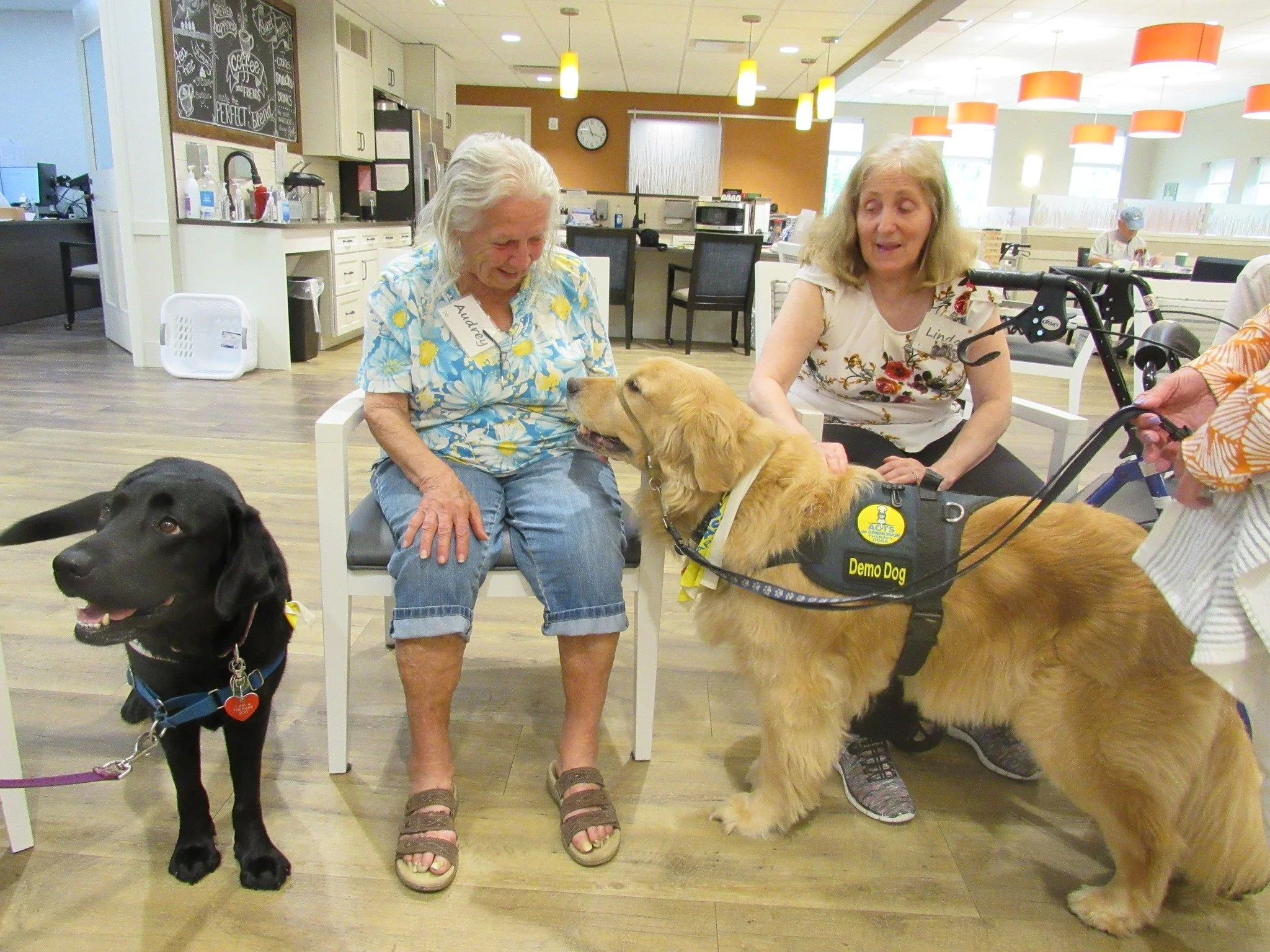 Two women sitting in chairs with two guide dogs, one black and one golden retriever, in a senior living facility or community center. The golden retriever is wearing a harness labeled 'Demo Dog' and is interacting with an elderly woman.