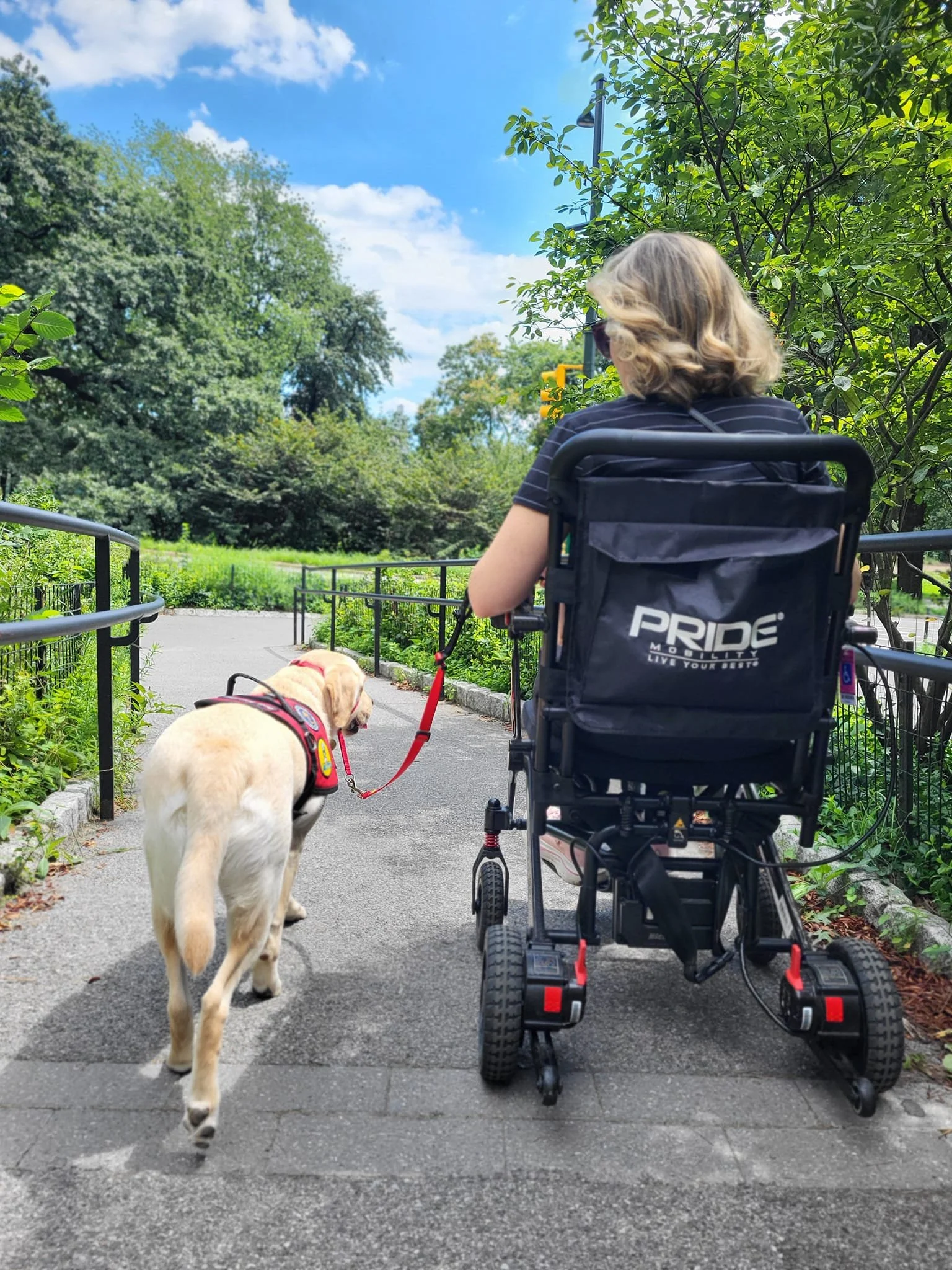 A woman in a wheelchair with a service dog on a leash walking on a paved path in a park with greenery and trees, under a partly cloudy blue sky.