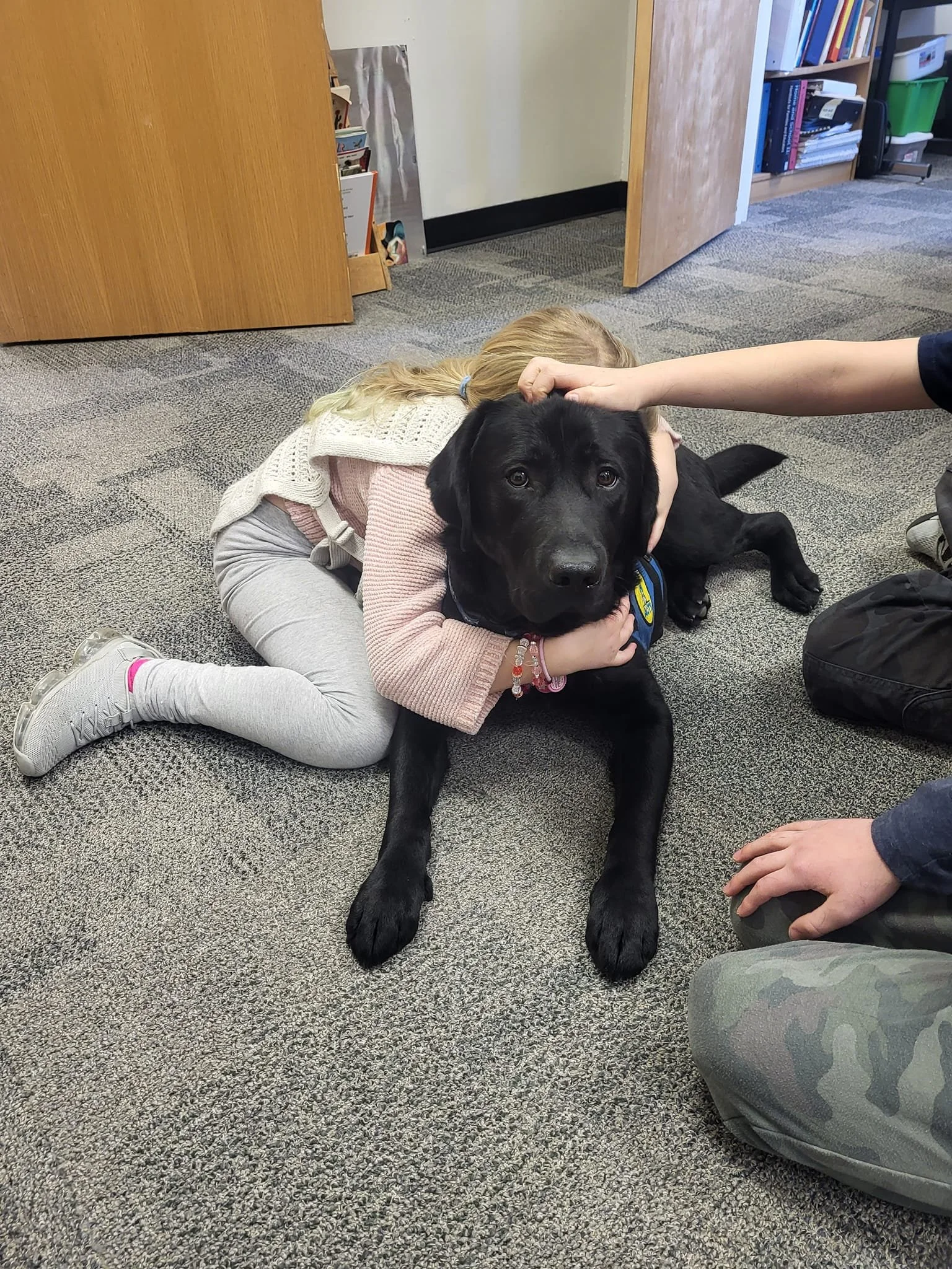 A young girl hugging a black Labrador retriever puppy on a classroom carpet.