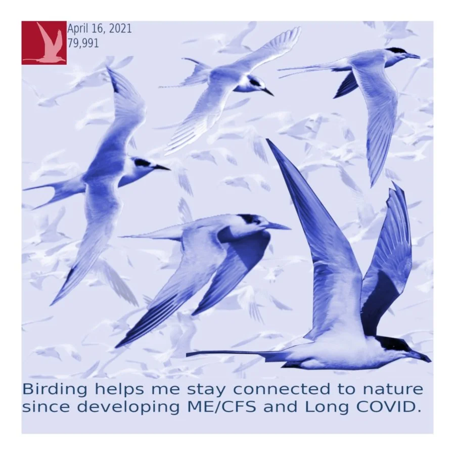 Block Design - Karin Dove.jpg