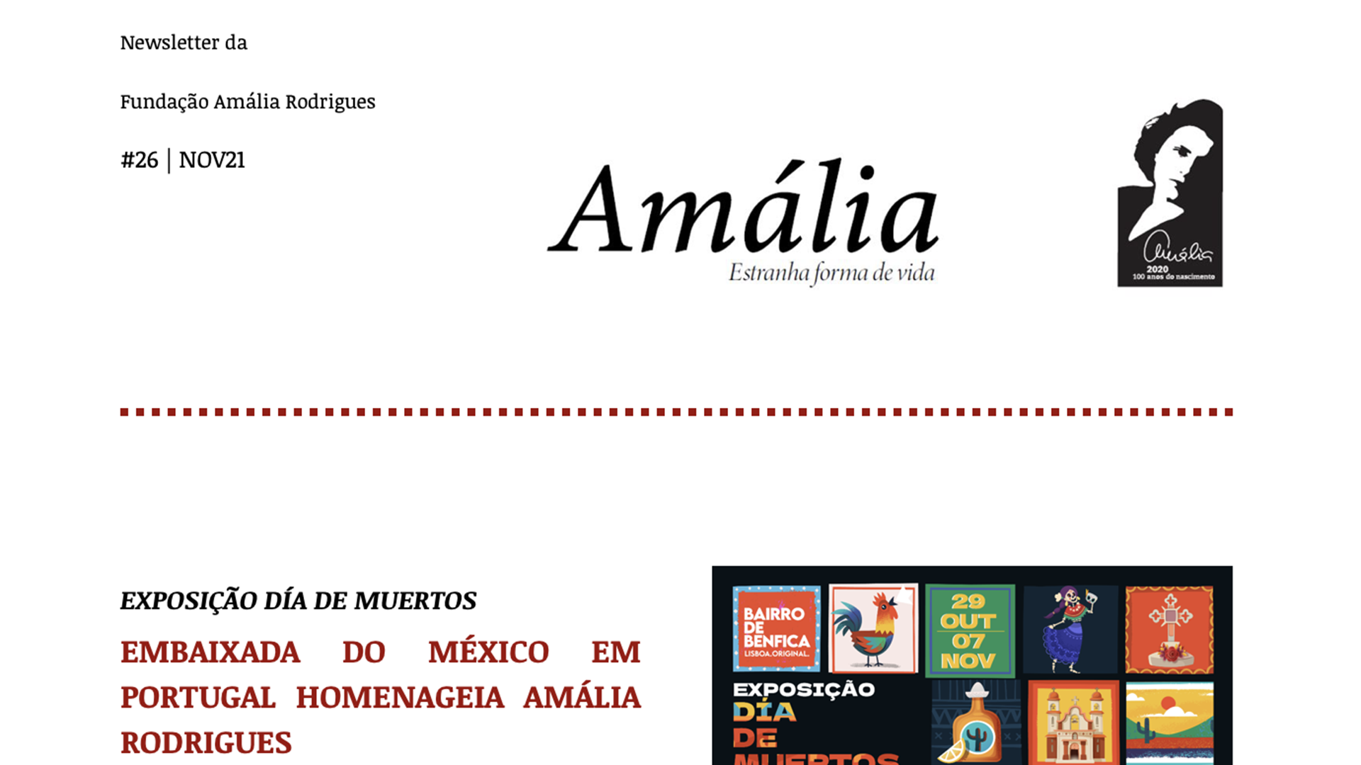 Amalia-newsletter-DEZ21-02.png
