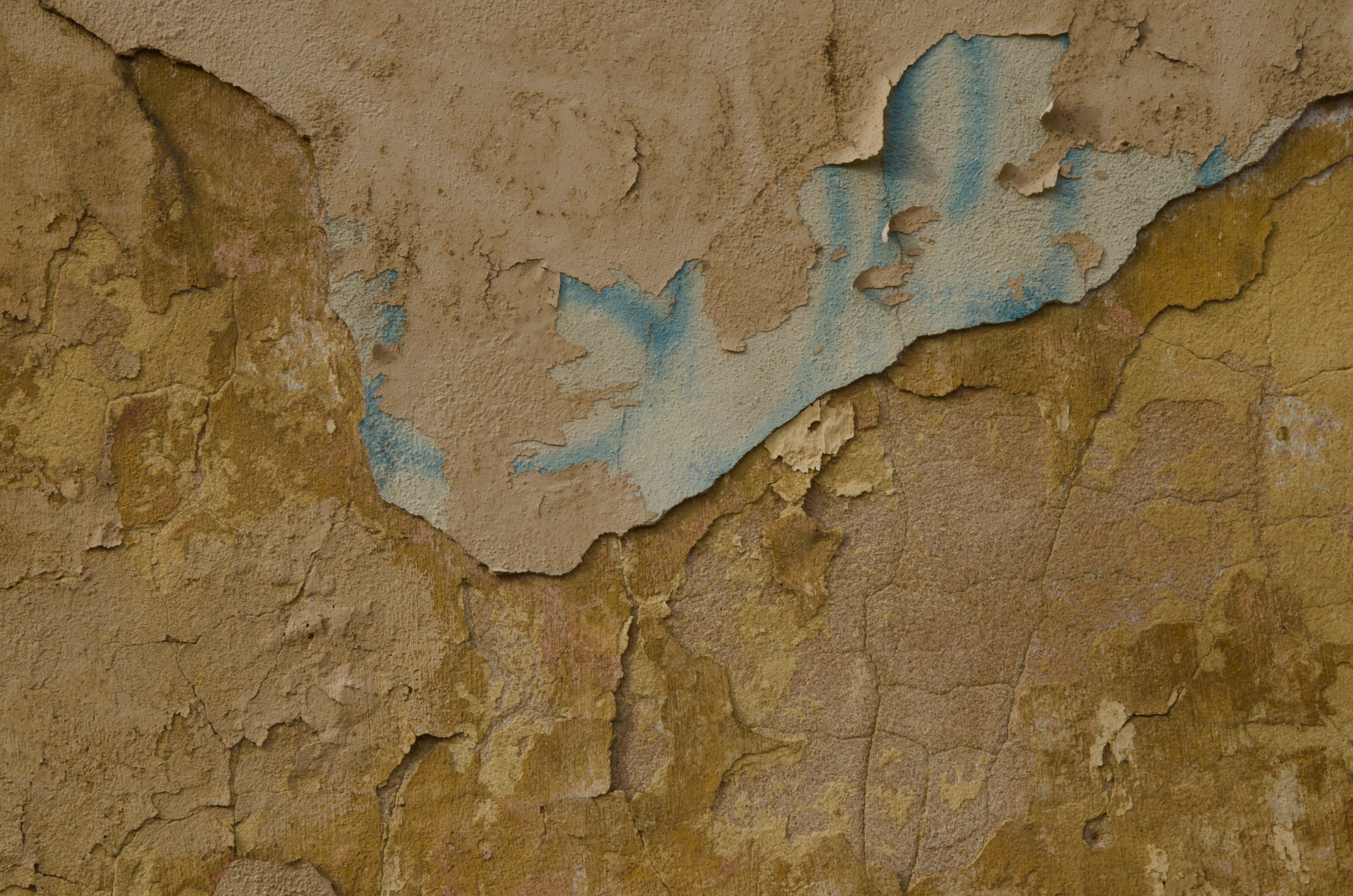 “Canvas 4” (Philadelphia, 2012)