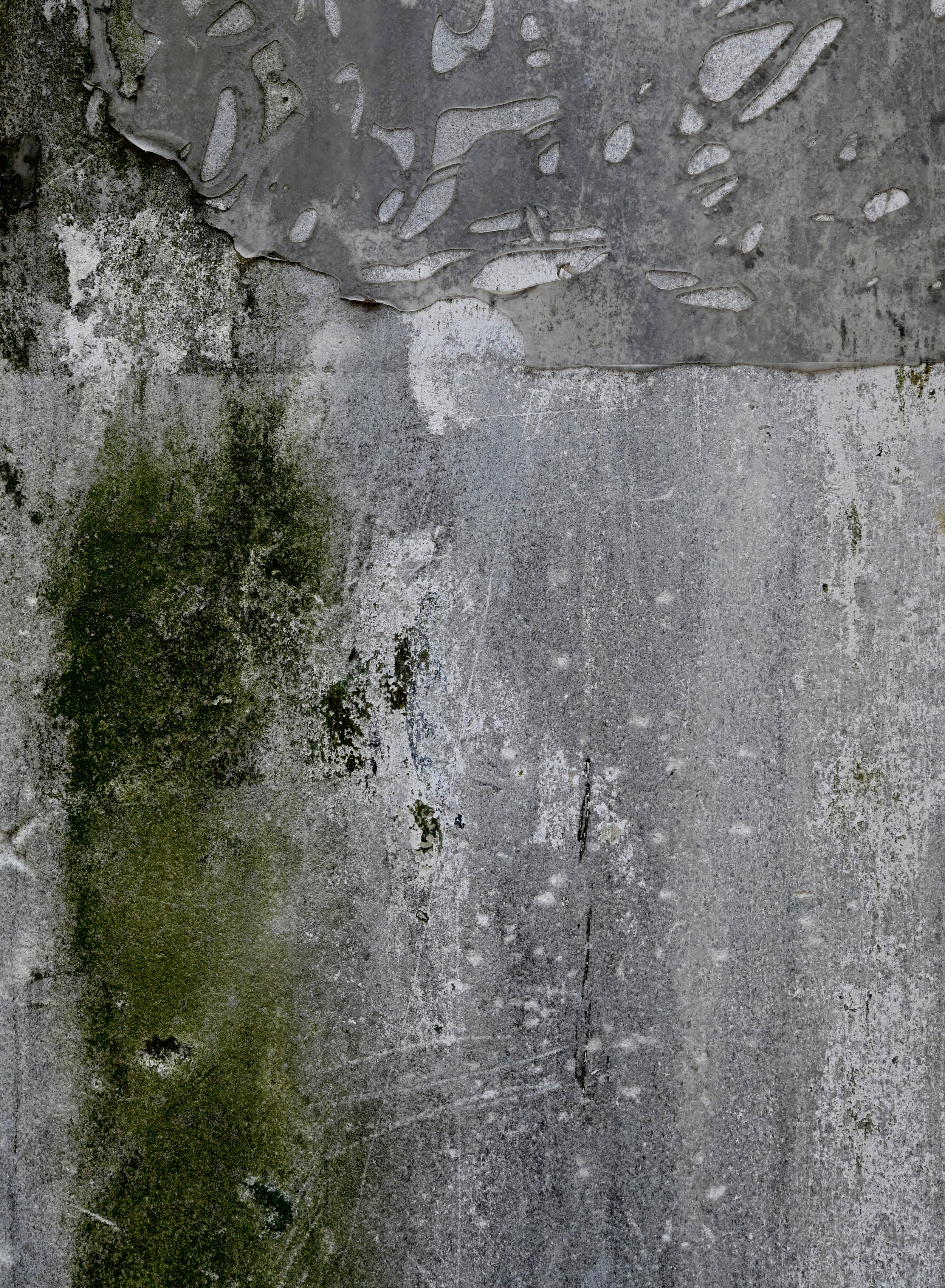 “Verdure” (Philadelphia, 2023)