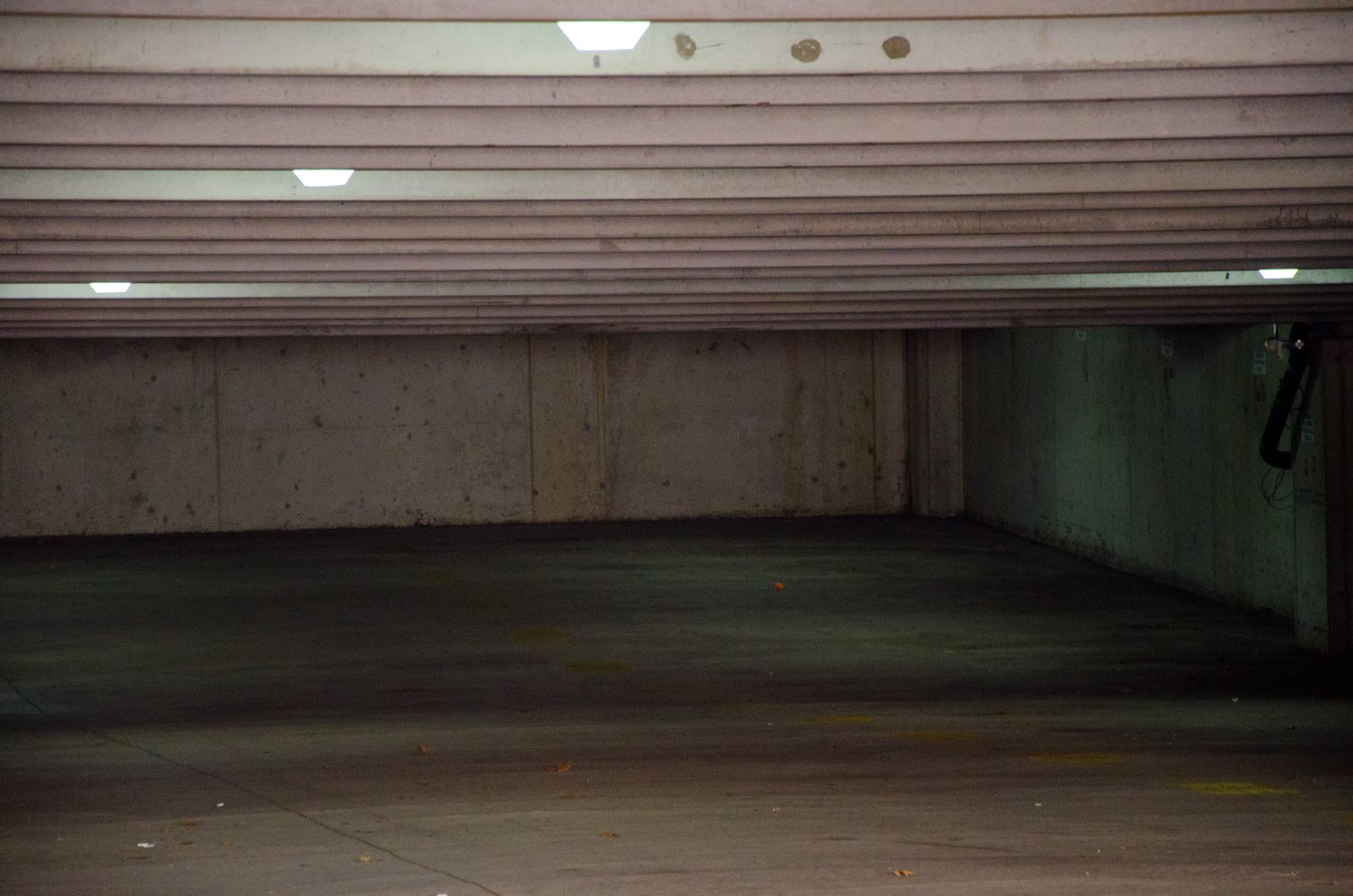 Low (2012)