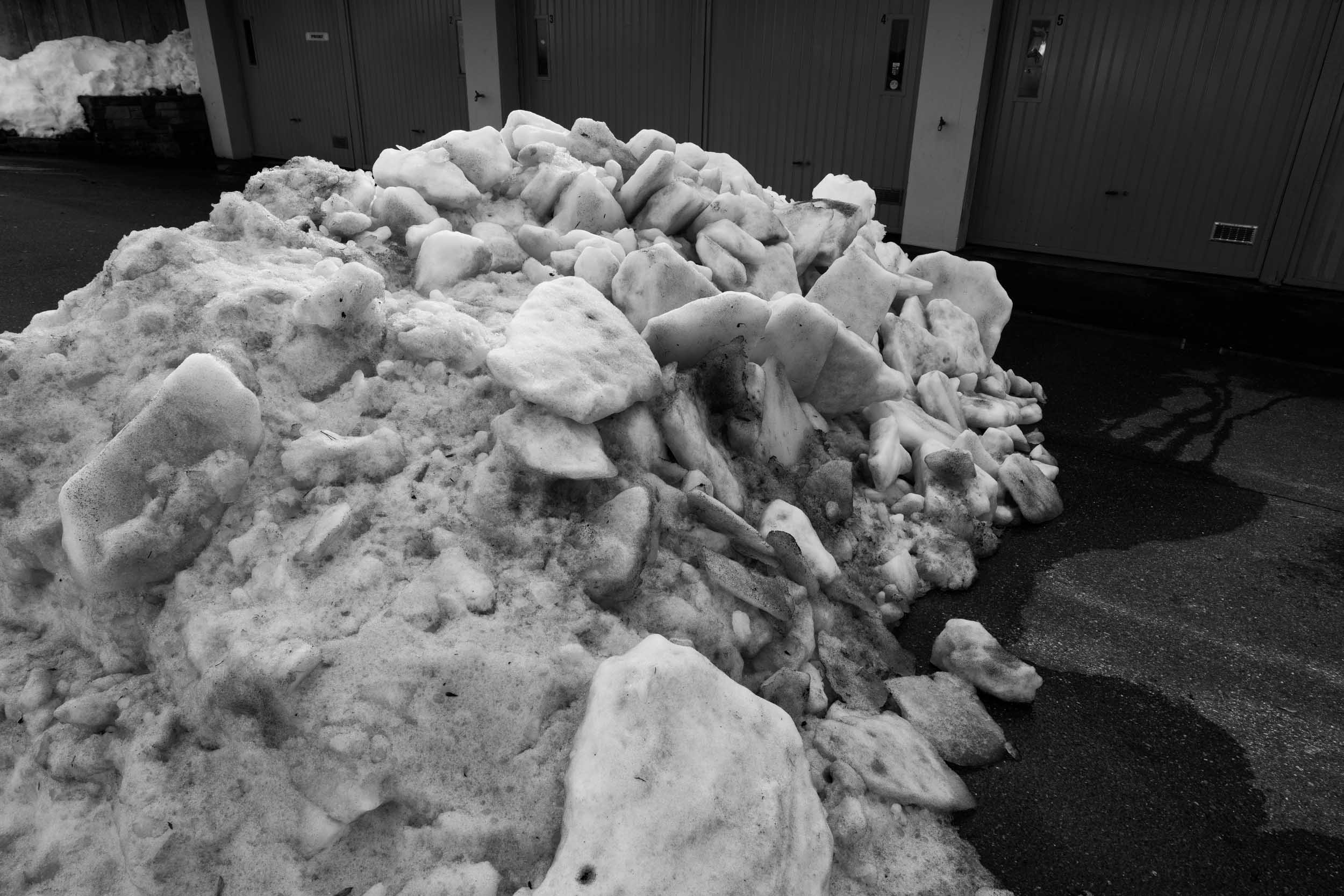 _DSC1087.jpg